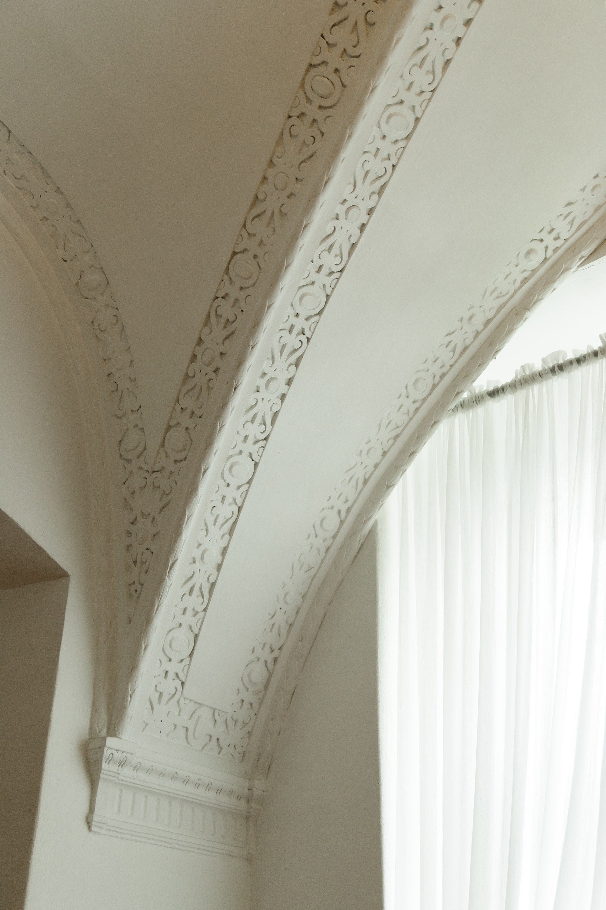 Oleśnica castle. Kaja | fotograf psów we Wrocławiu