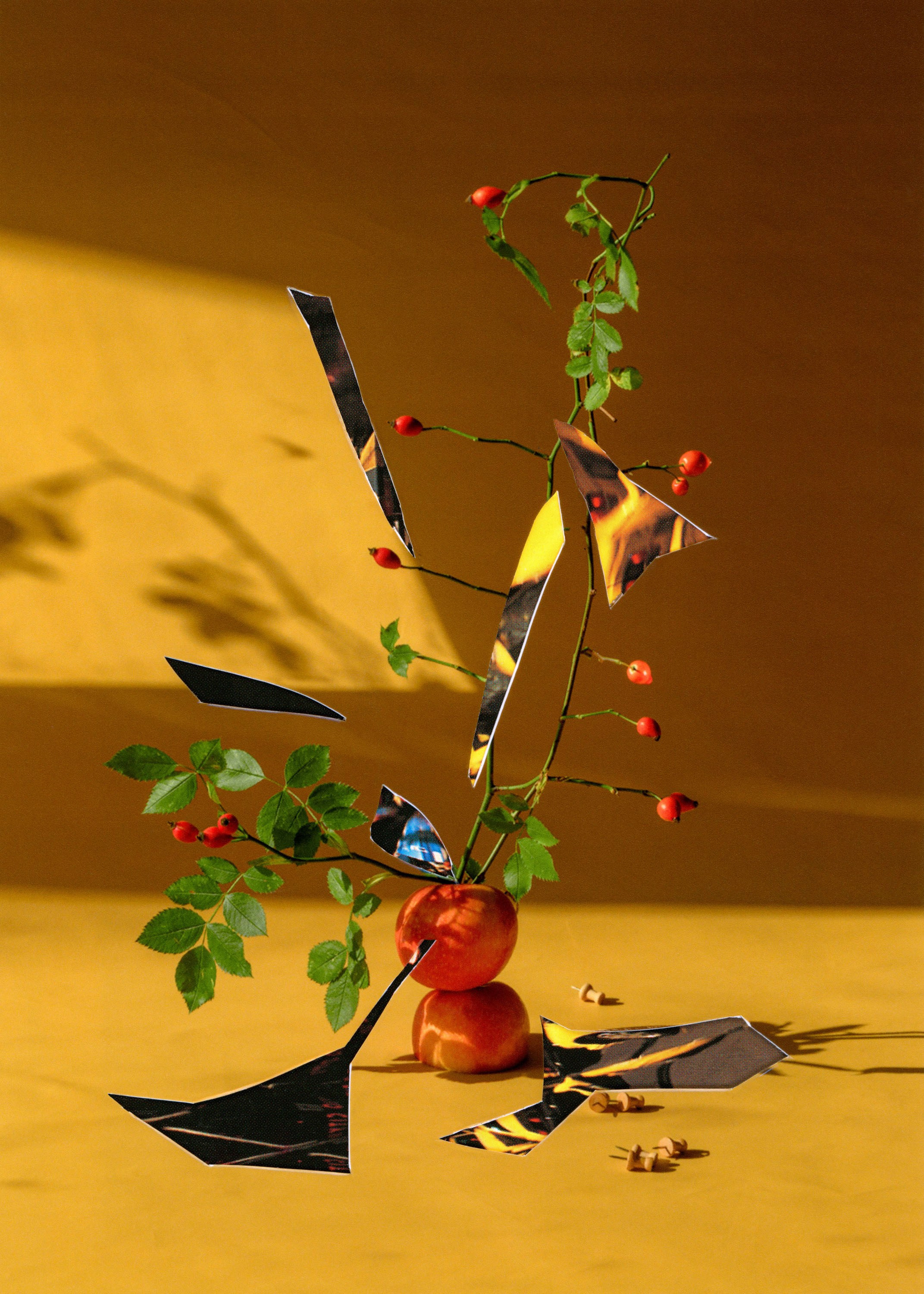 Marina Tsaregorodtseva still life contemporary composition collage tsaregorodtseva