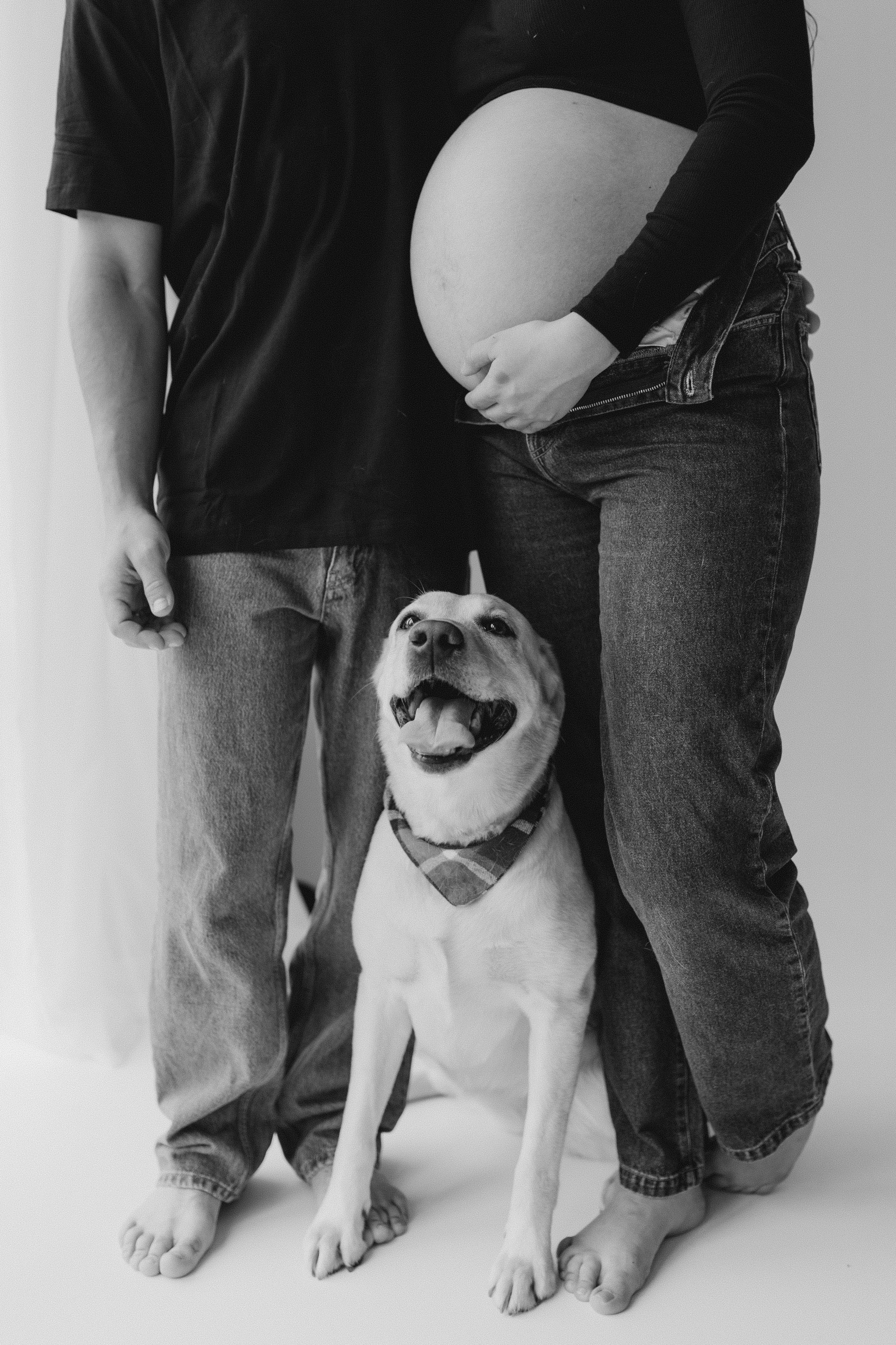 Pregnant Story. Main