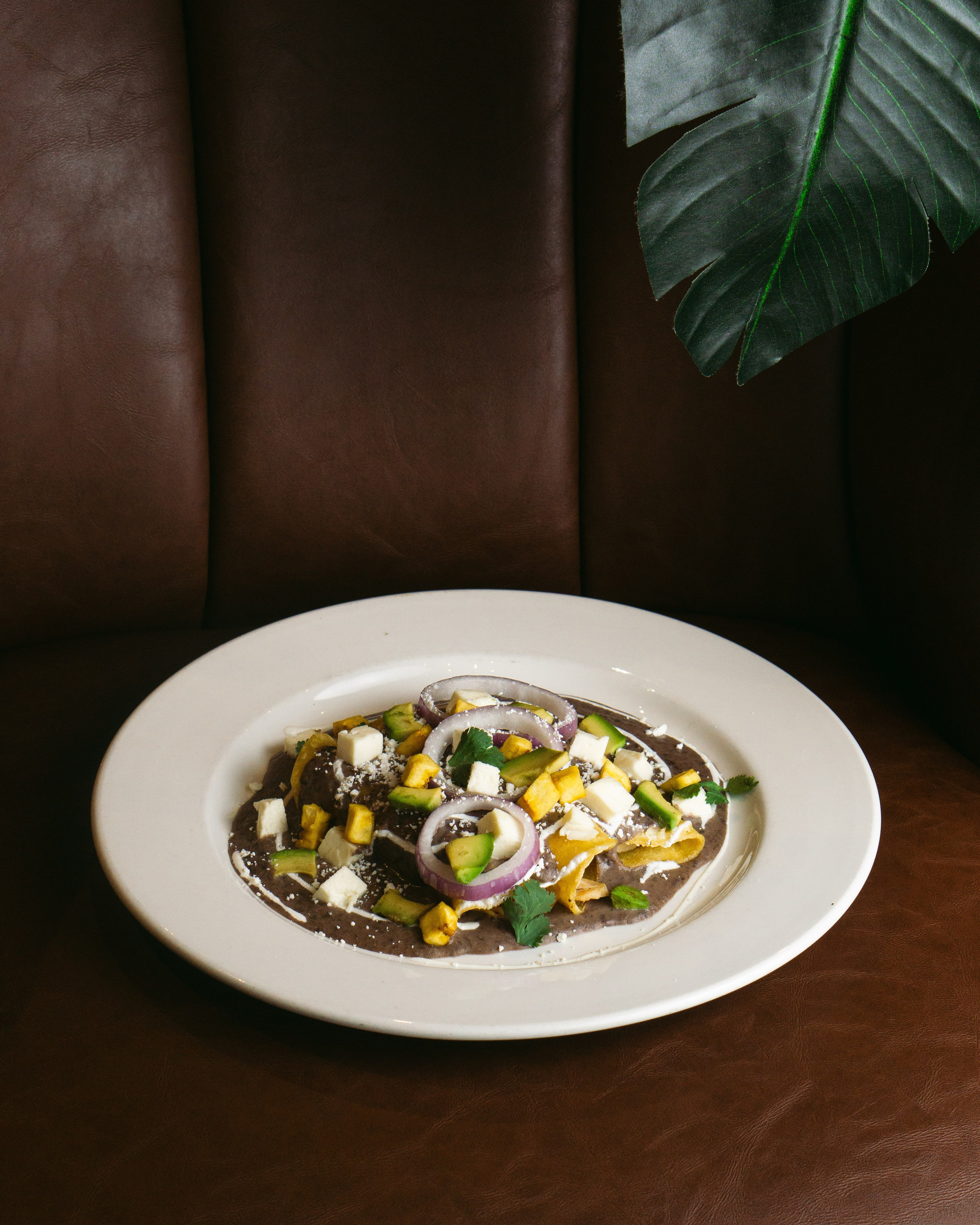 Anthony. Welcome to my video and photo world!