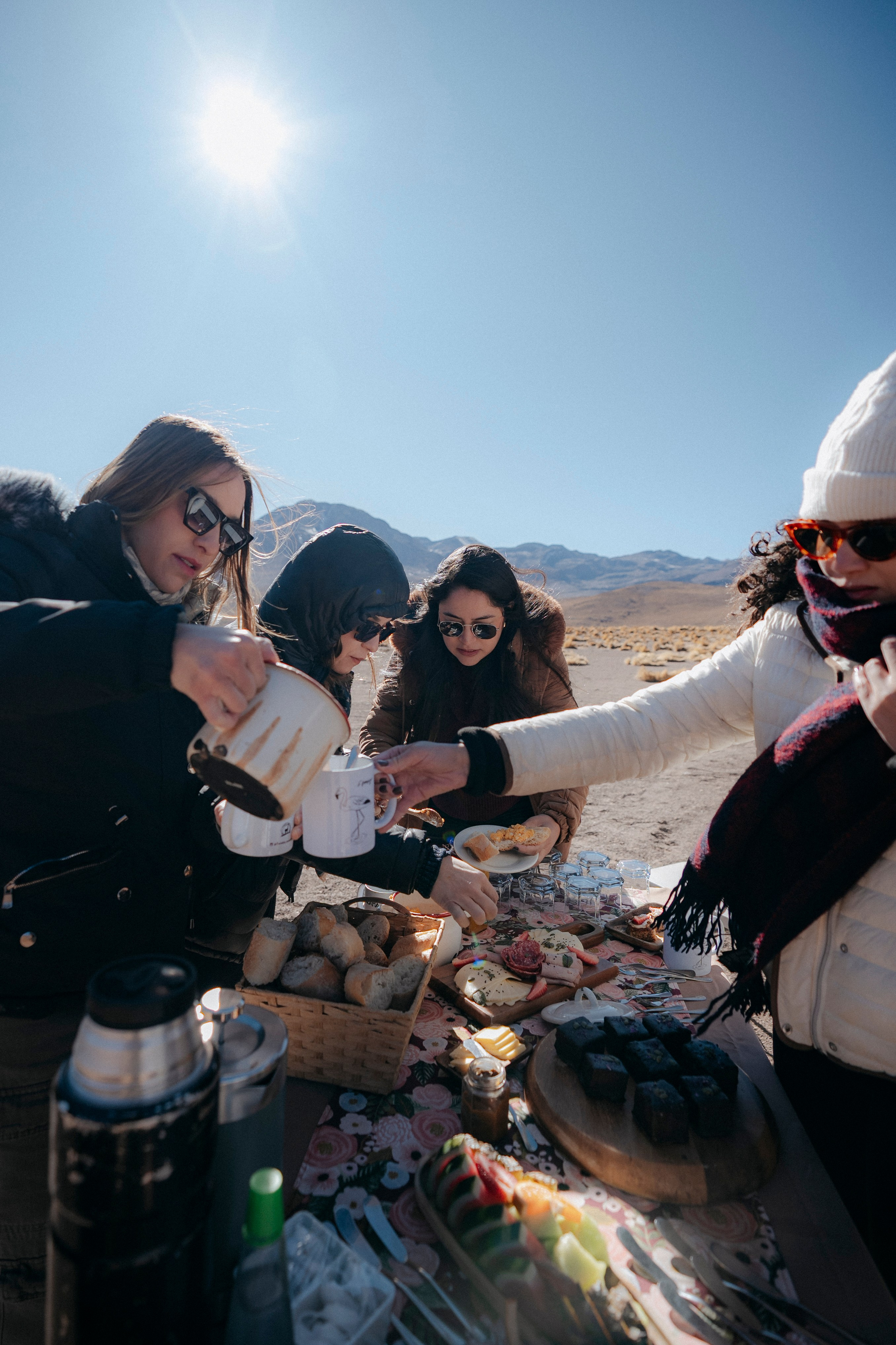 Geyser El Tatio (cobertura en tour privado). Principal