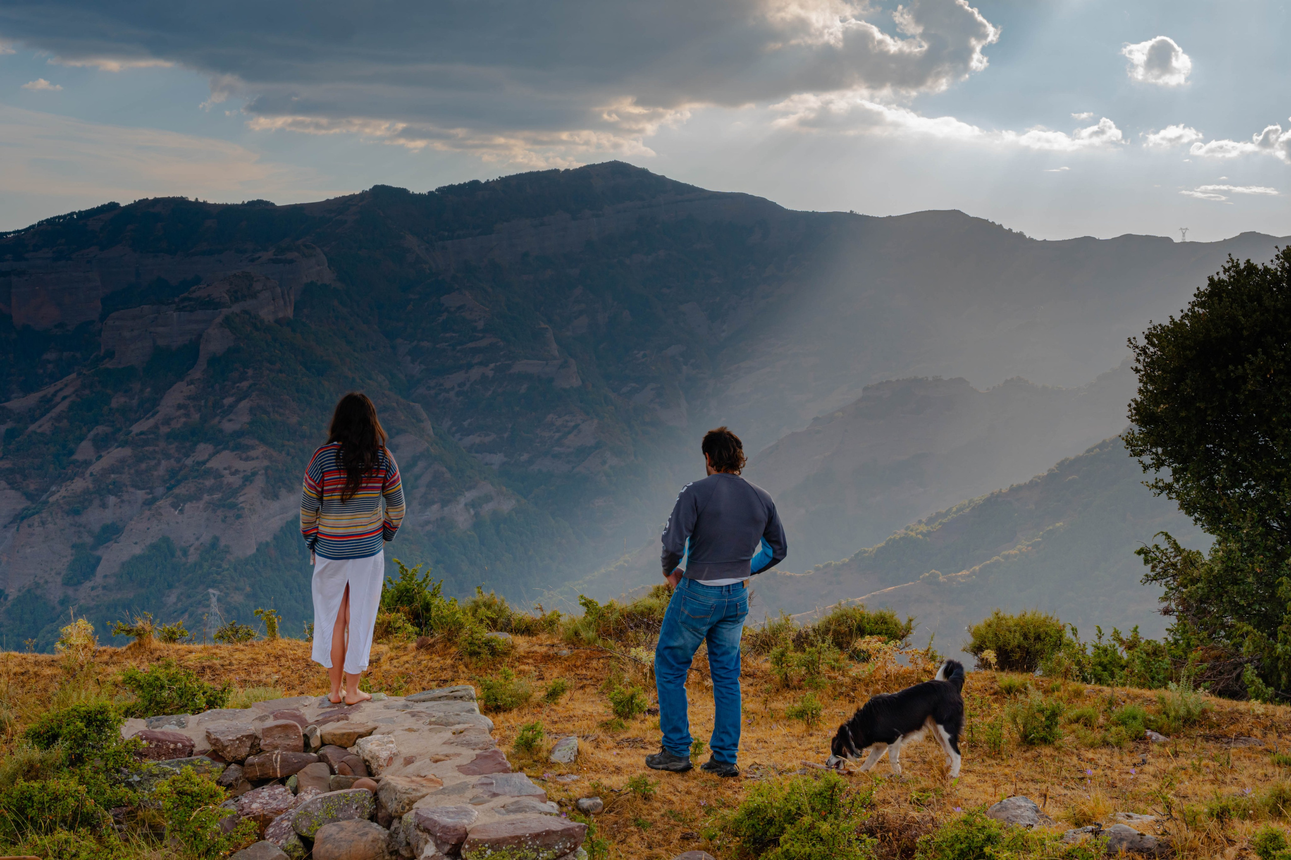 Lila. Alba del Norte Studio