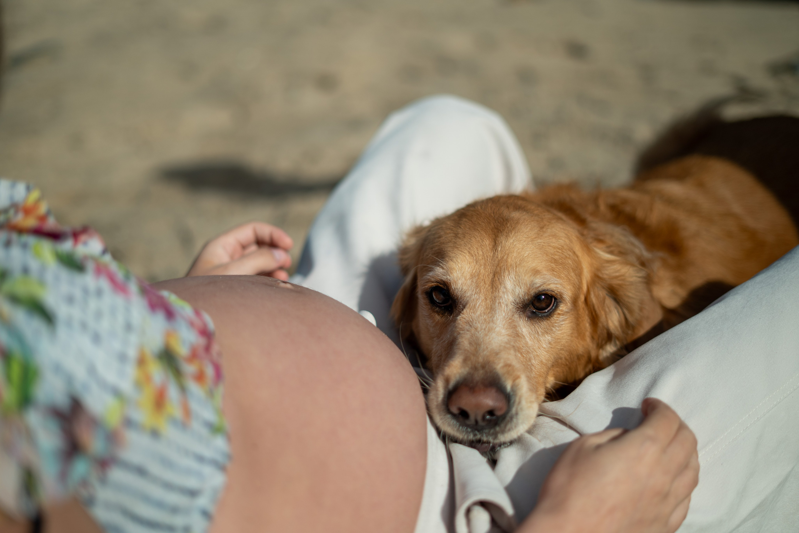 Ensaio Praia — Rafaela e César. Frames by Giovani Braga