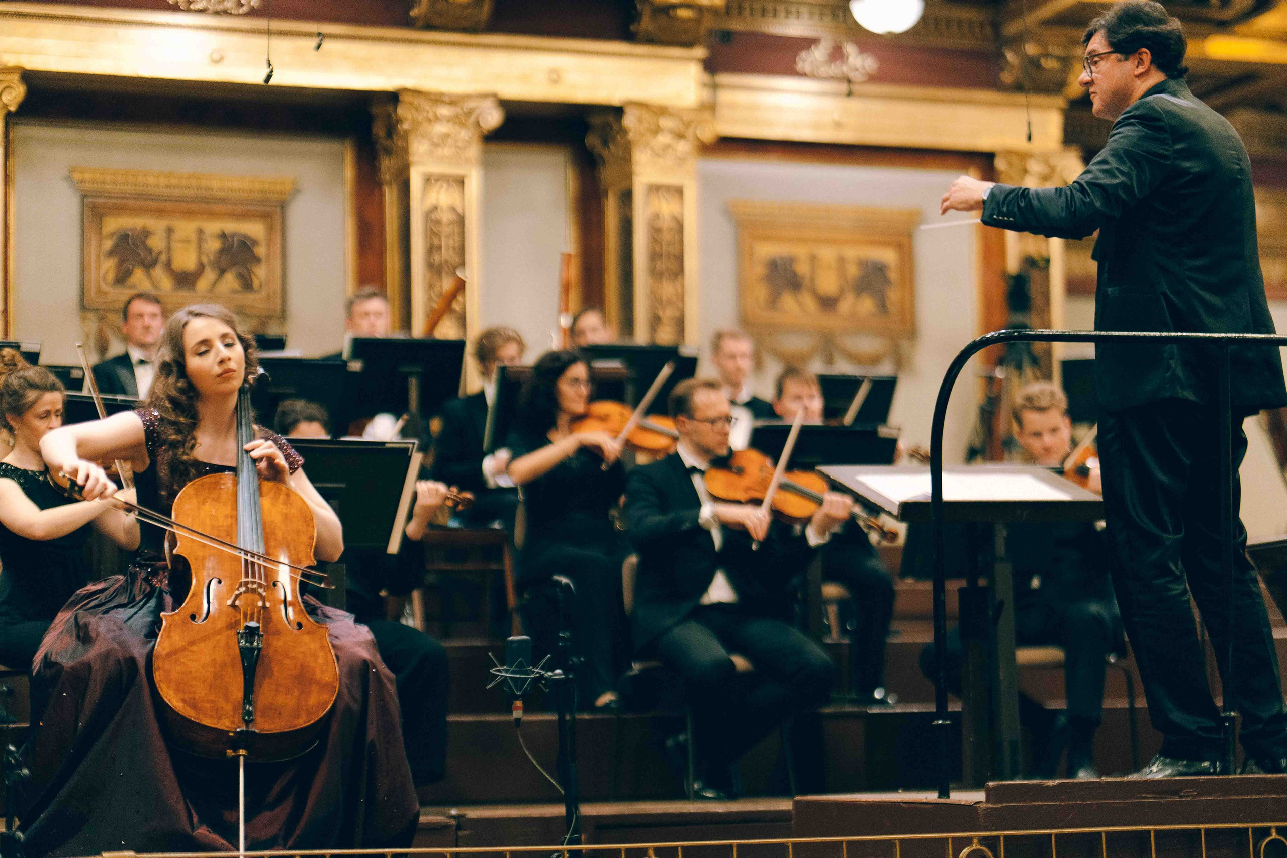 MUSIKVEREIN (VIENNA). Wedding&Event photographer Ismail Rzayev in Baku