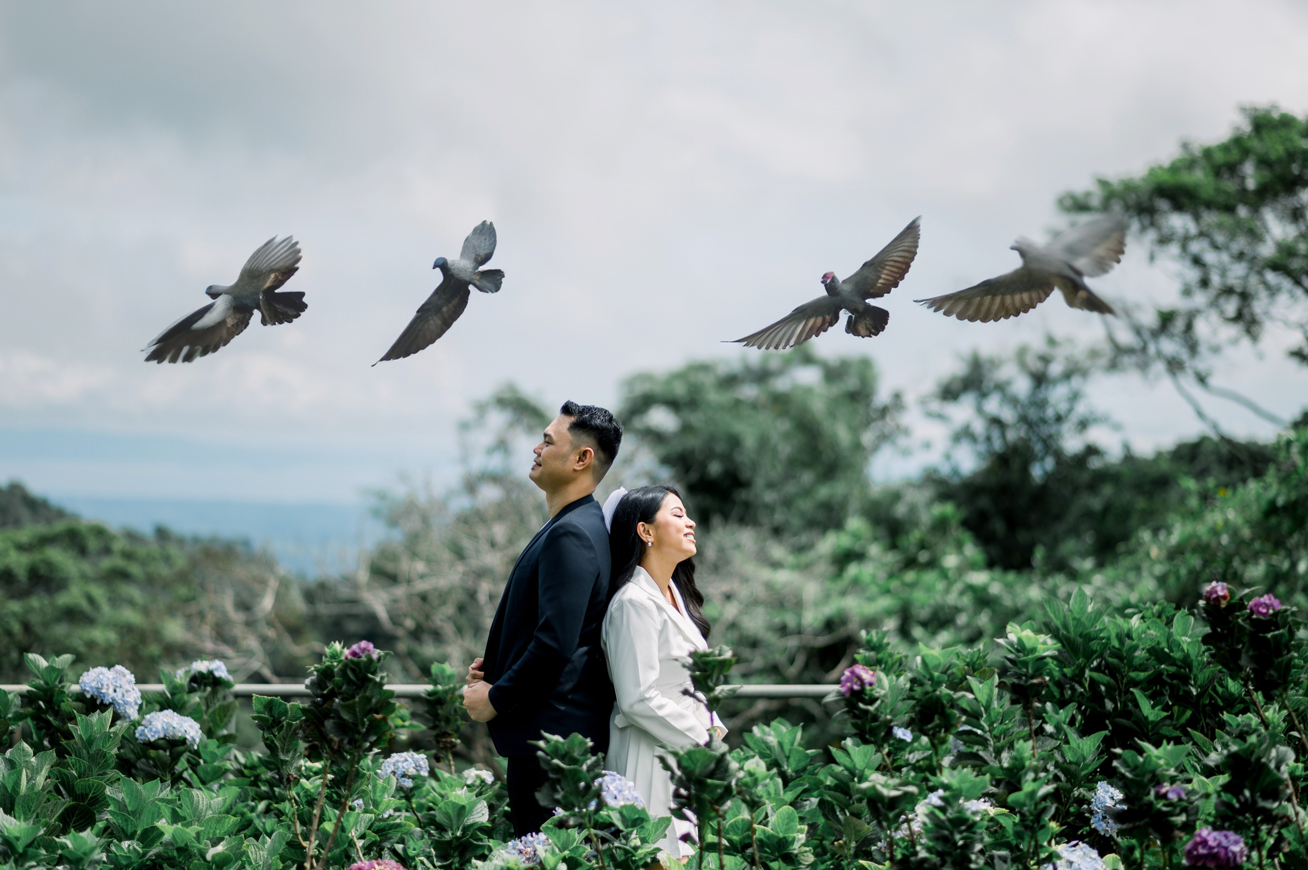 Contact. Woody Weddings