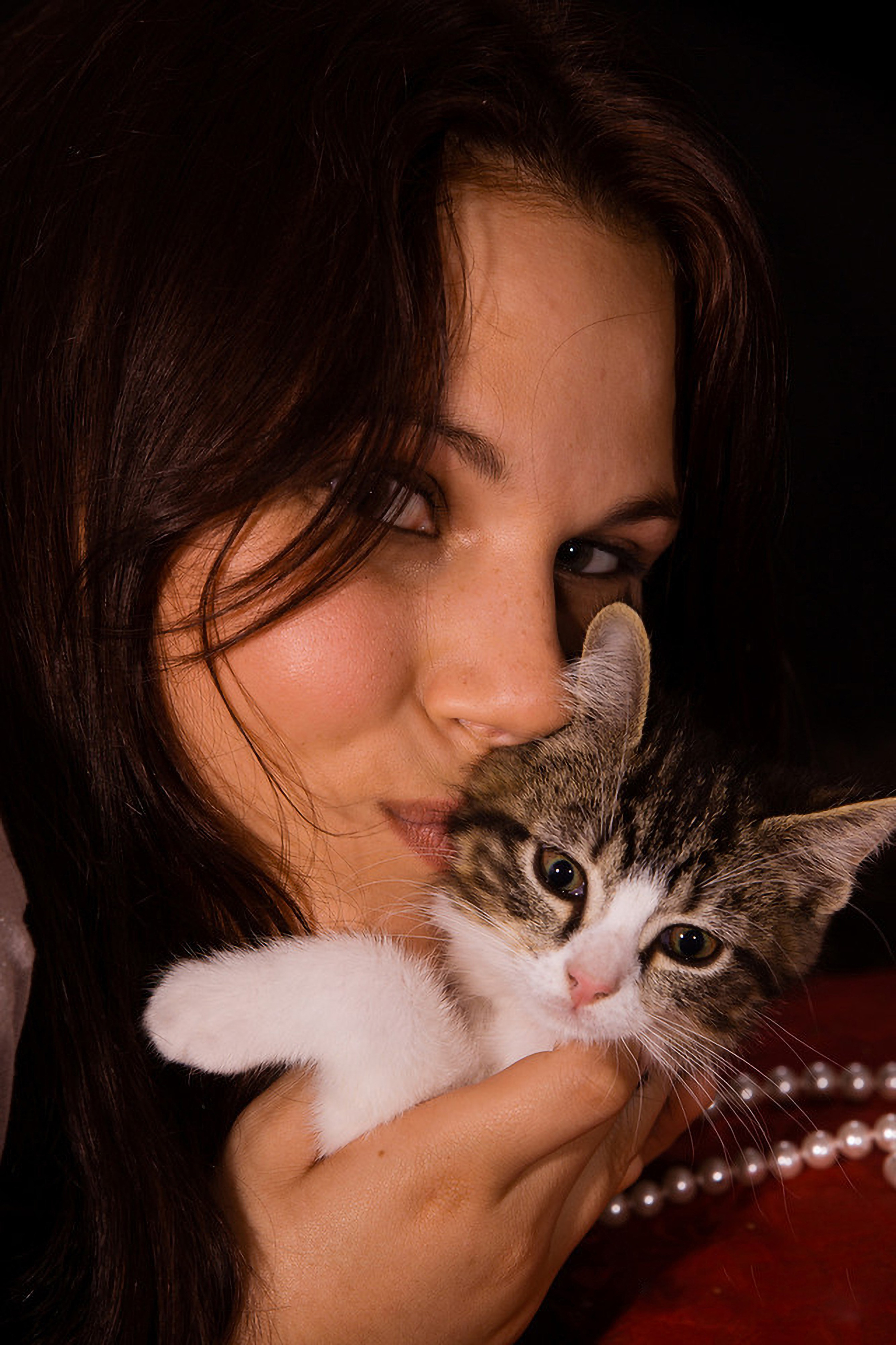 Animal de Compagnie. Studioplaza8