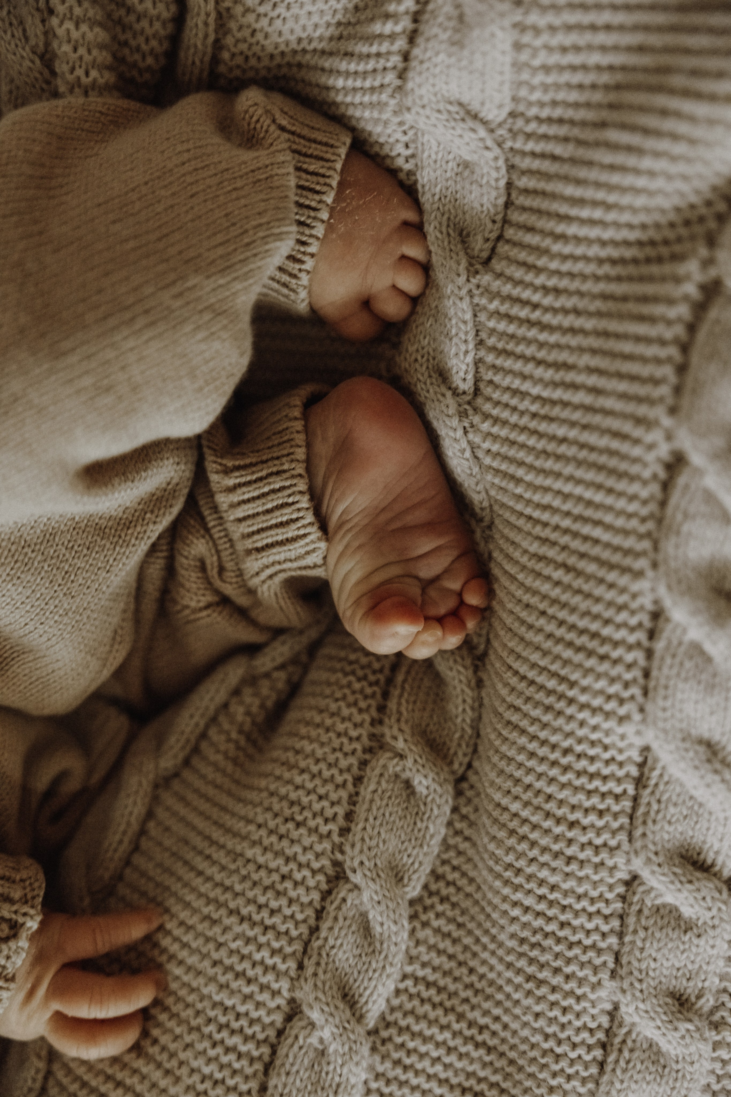 Baby Boy. Фотограф Ирина Йотова