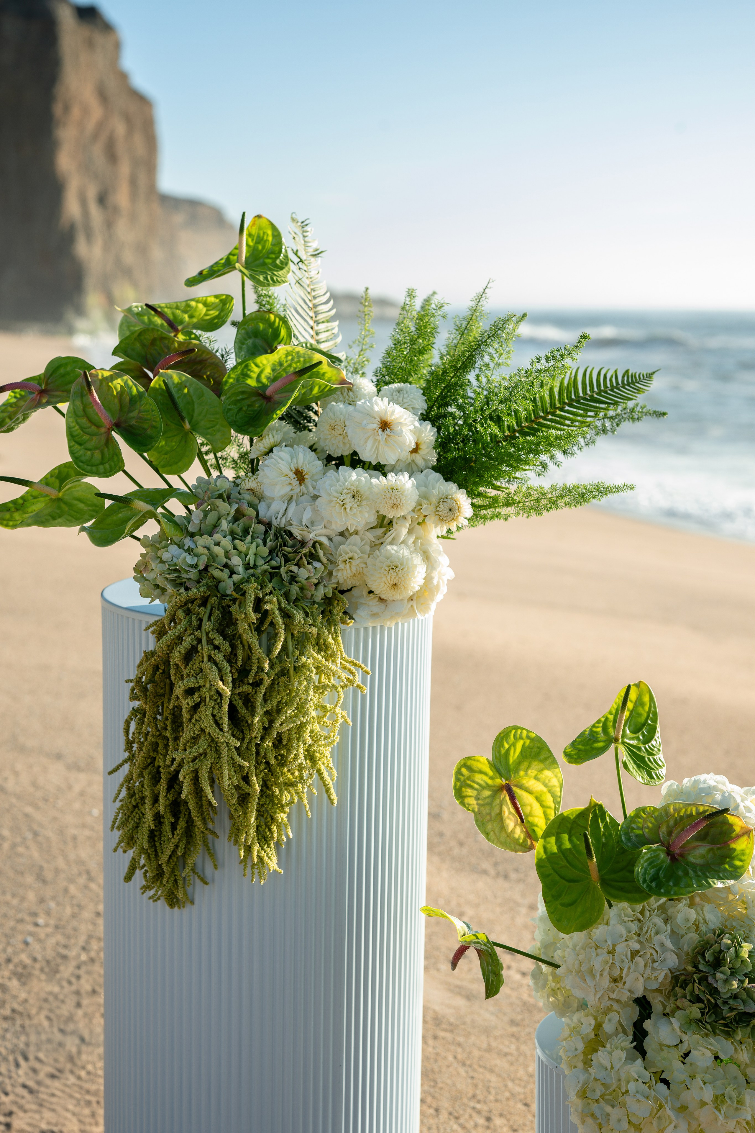 Ceremony by the Ocean🕊️. Wedding & Elopement Photographers in California