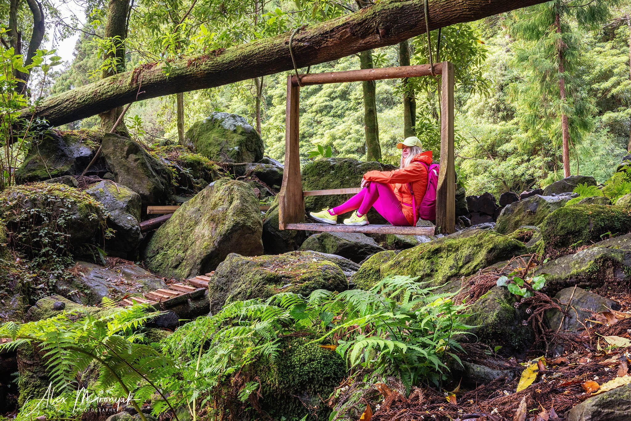 Madeira And Azores. Pet, Senior, Landscape, portrait studio, photographer in Miami and Sou