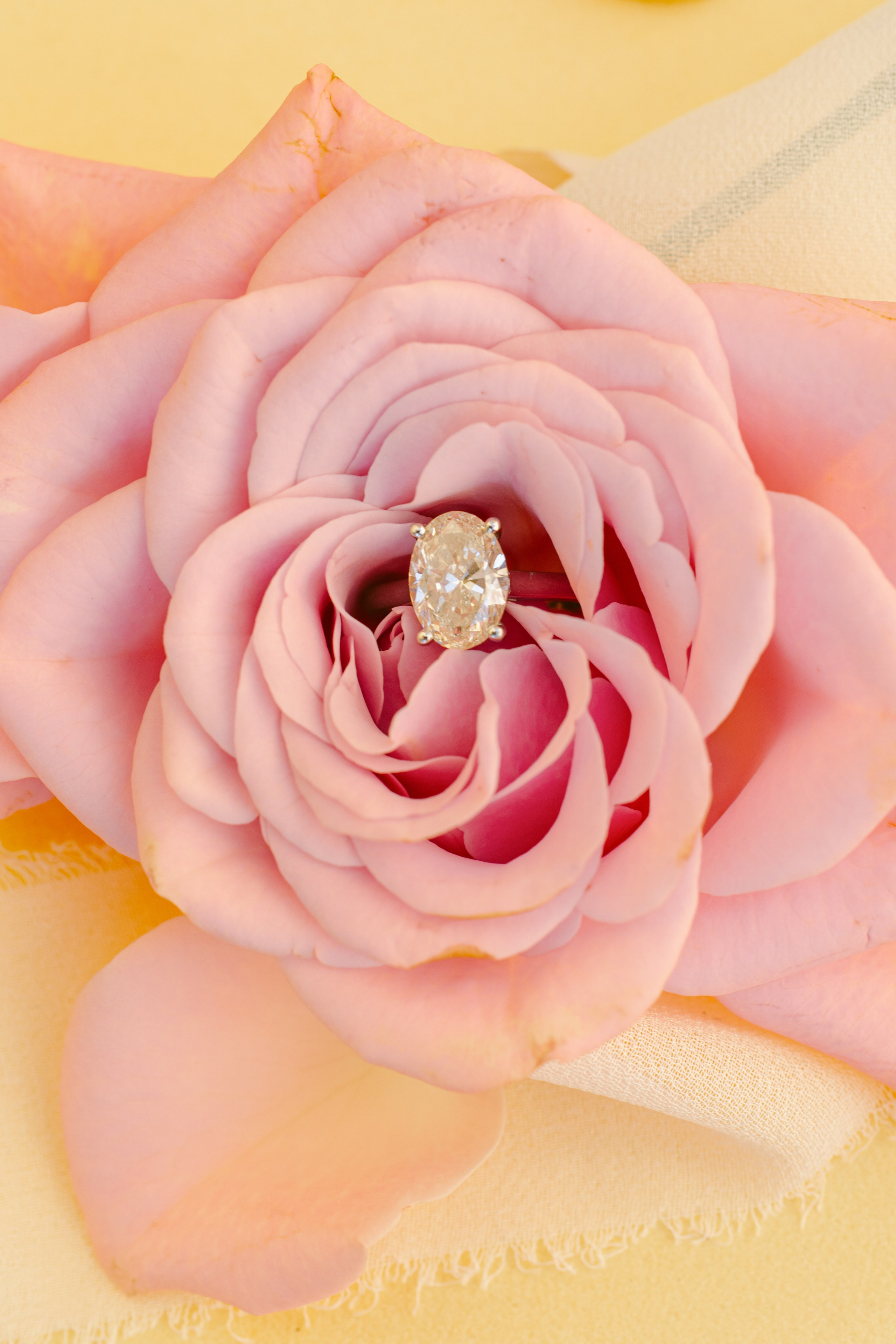 Xenia & Aleksey. Photographer in Paris