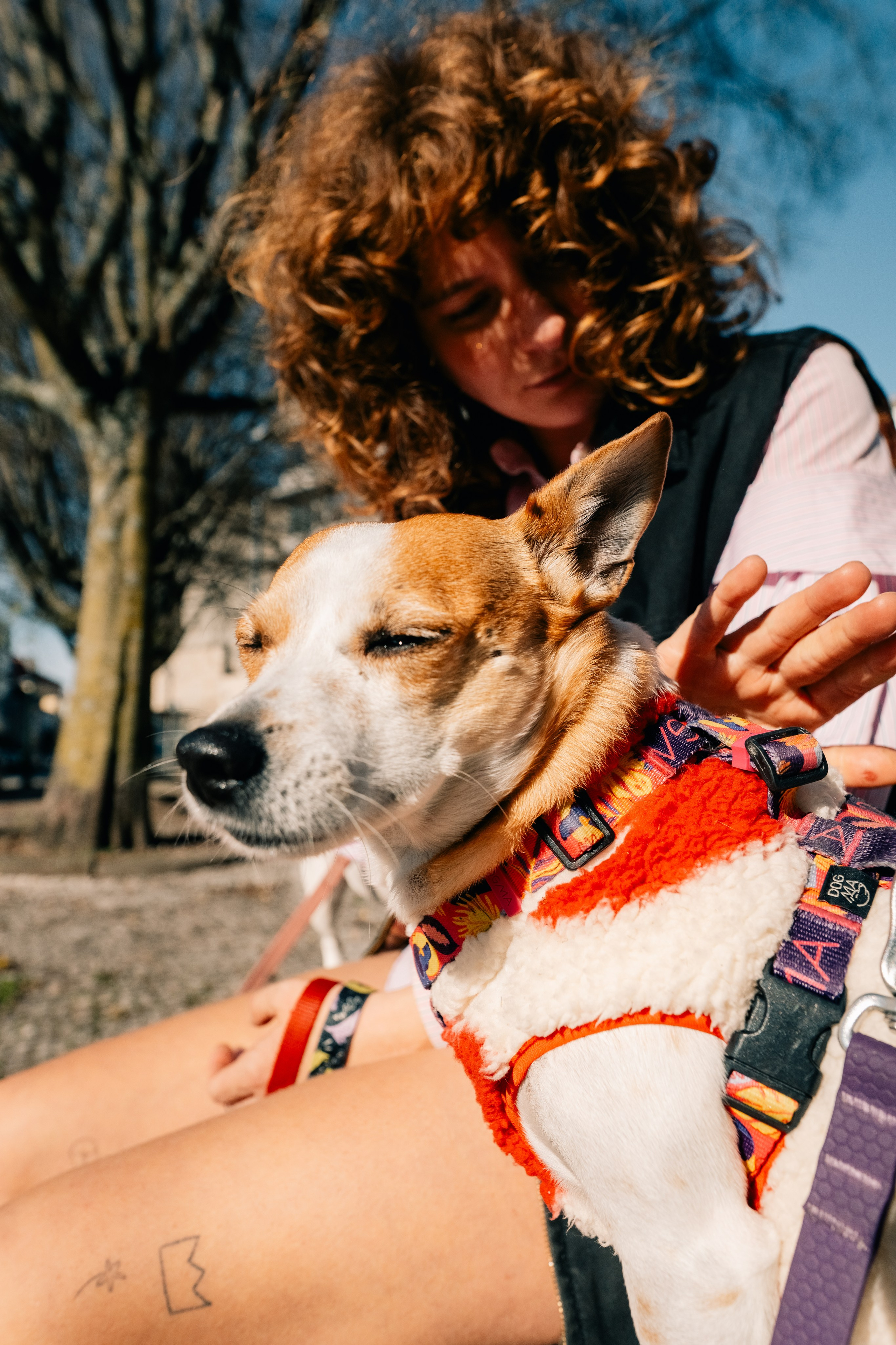 Yana & Doggos in Bonfim. Maria Sher. Professional photographer from Porto, Portugal