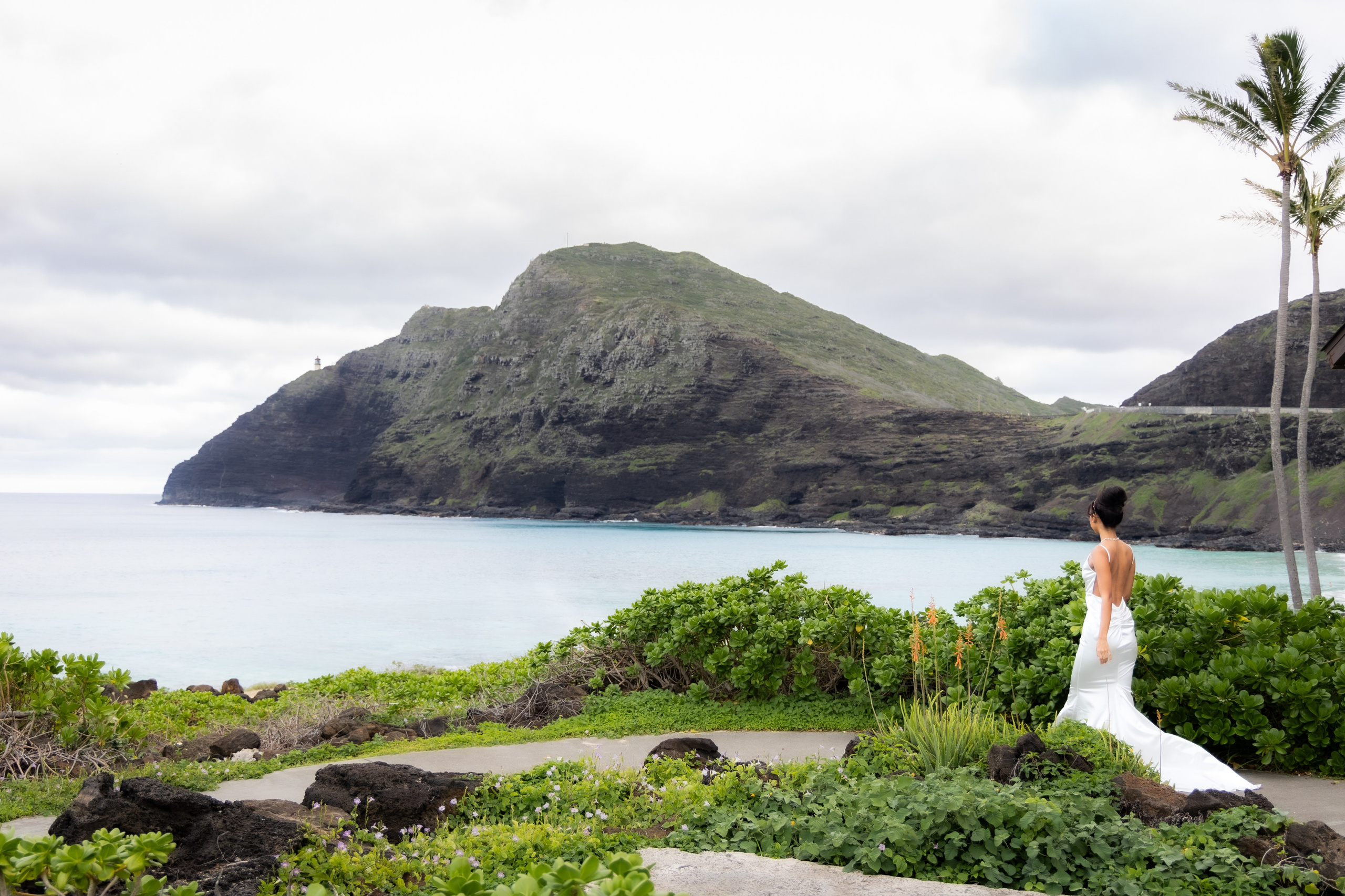 Wedding Photo & Video