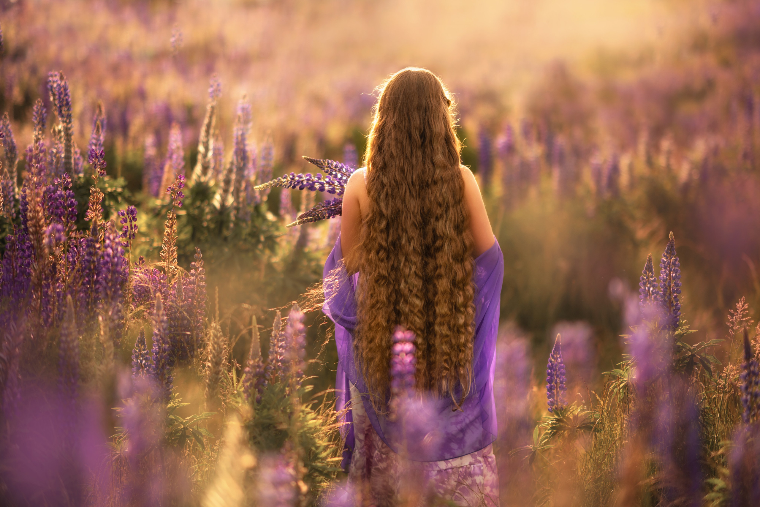 Field of lupines. Wedding & portrait photography in the Seattle Area. Helen Michelle photographer