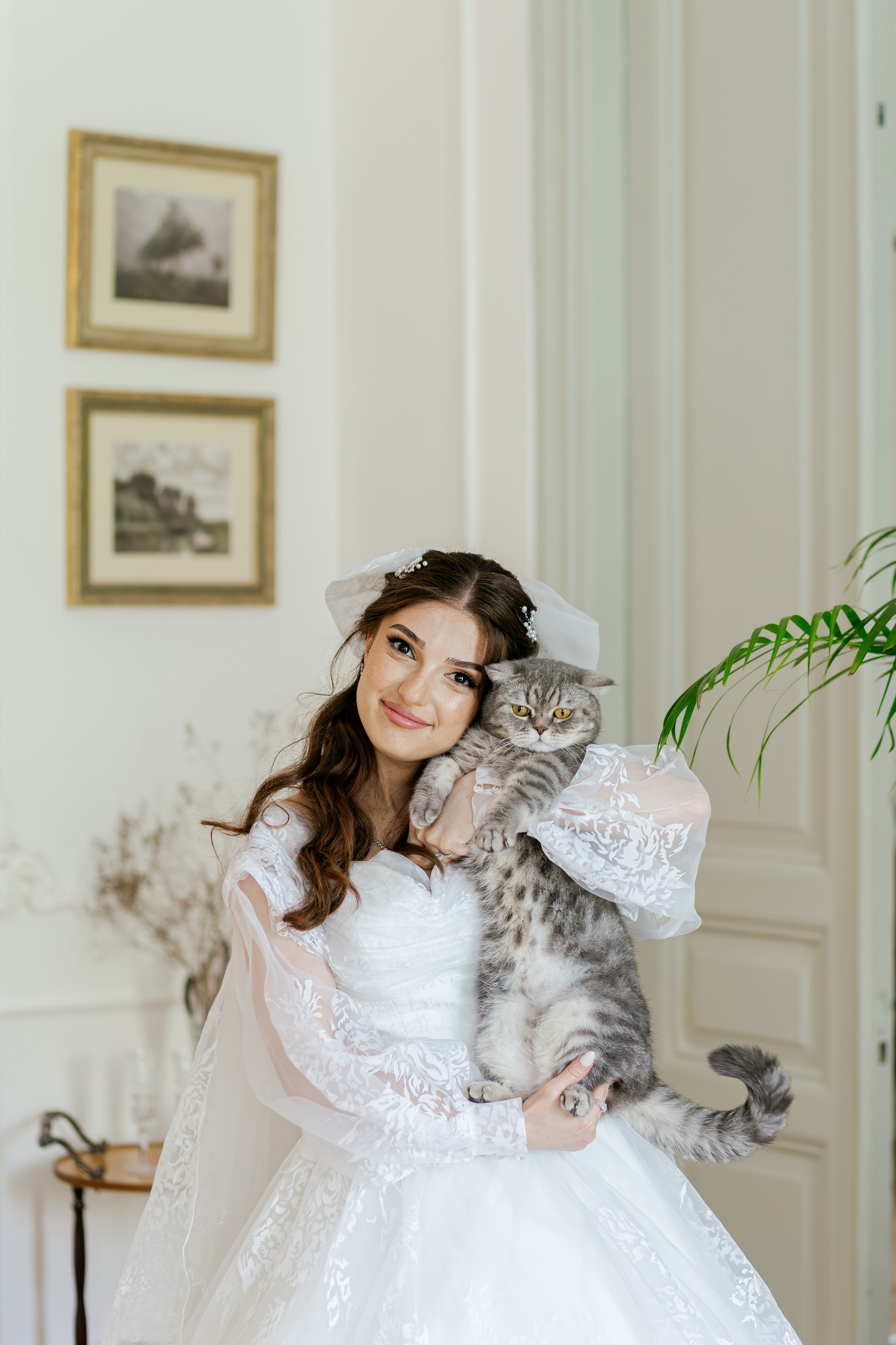 Farid & Zeyneb. Свадебный и семейный фотограф в Баку Мамедов Мамед