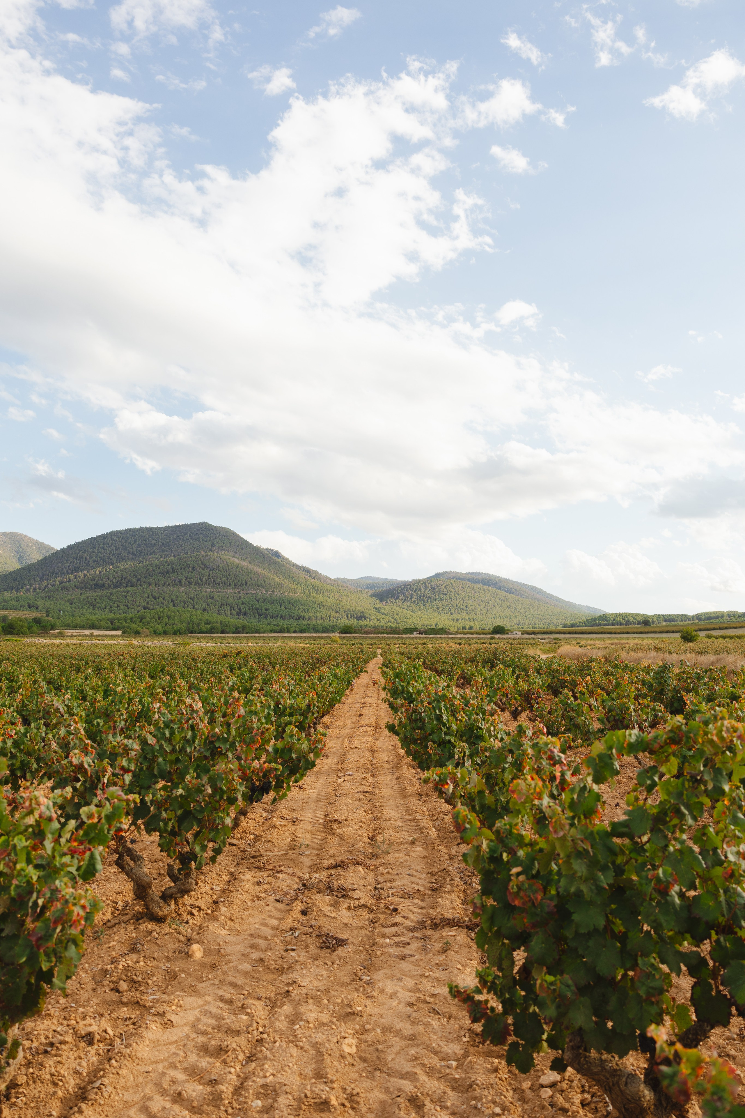 PREBODA ANA CRISTINA Y ROBERTO. Fotógrafo y Videógrafo de bodas y eventos