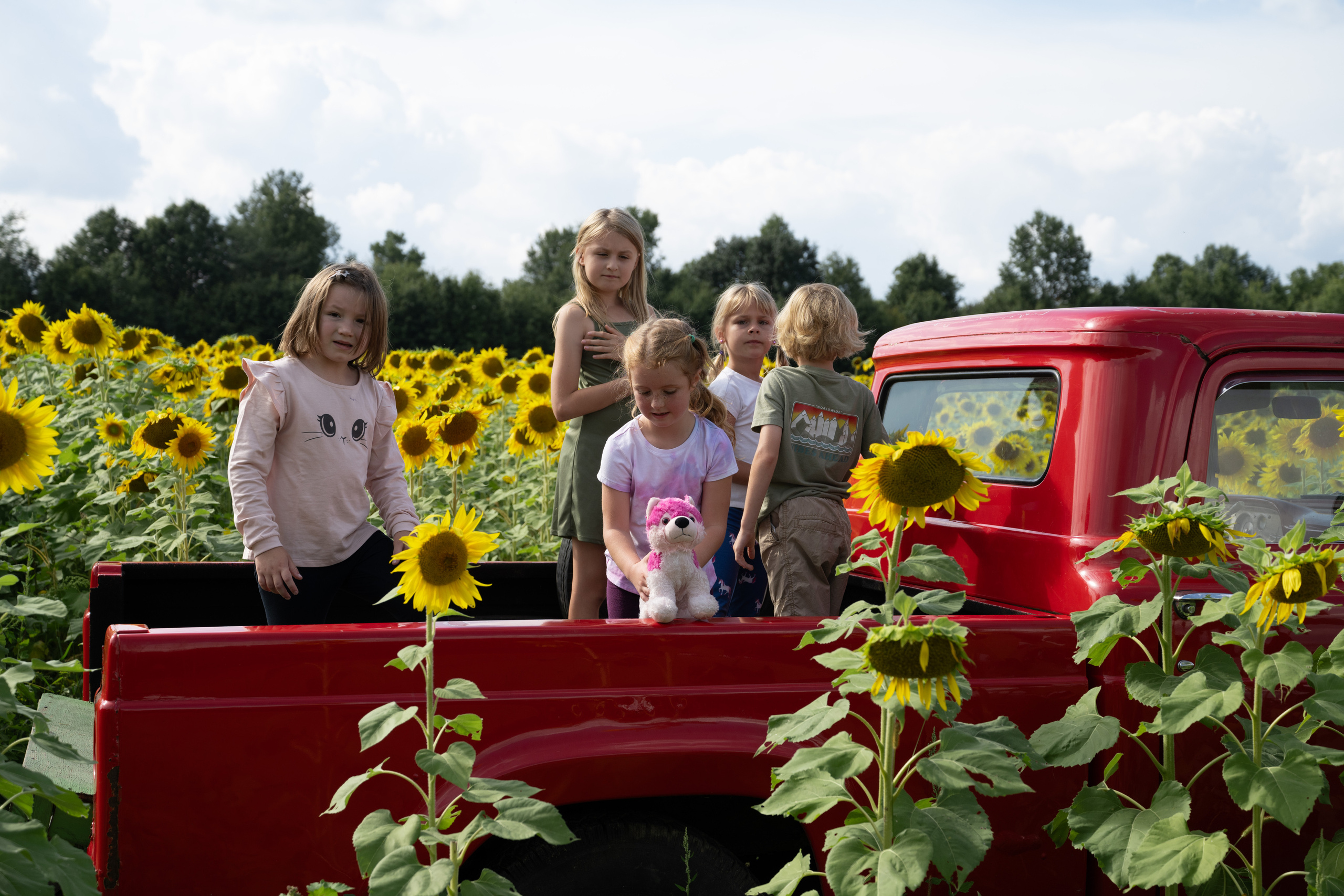 Testimonials. Family and Fine Art Photographer in Pickerington OH