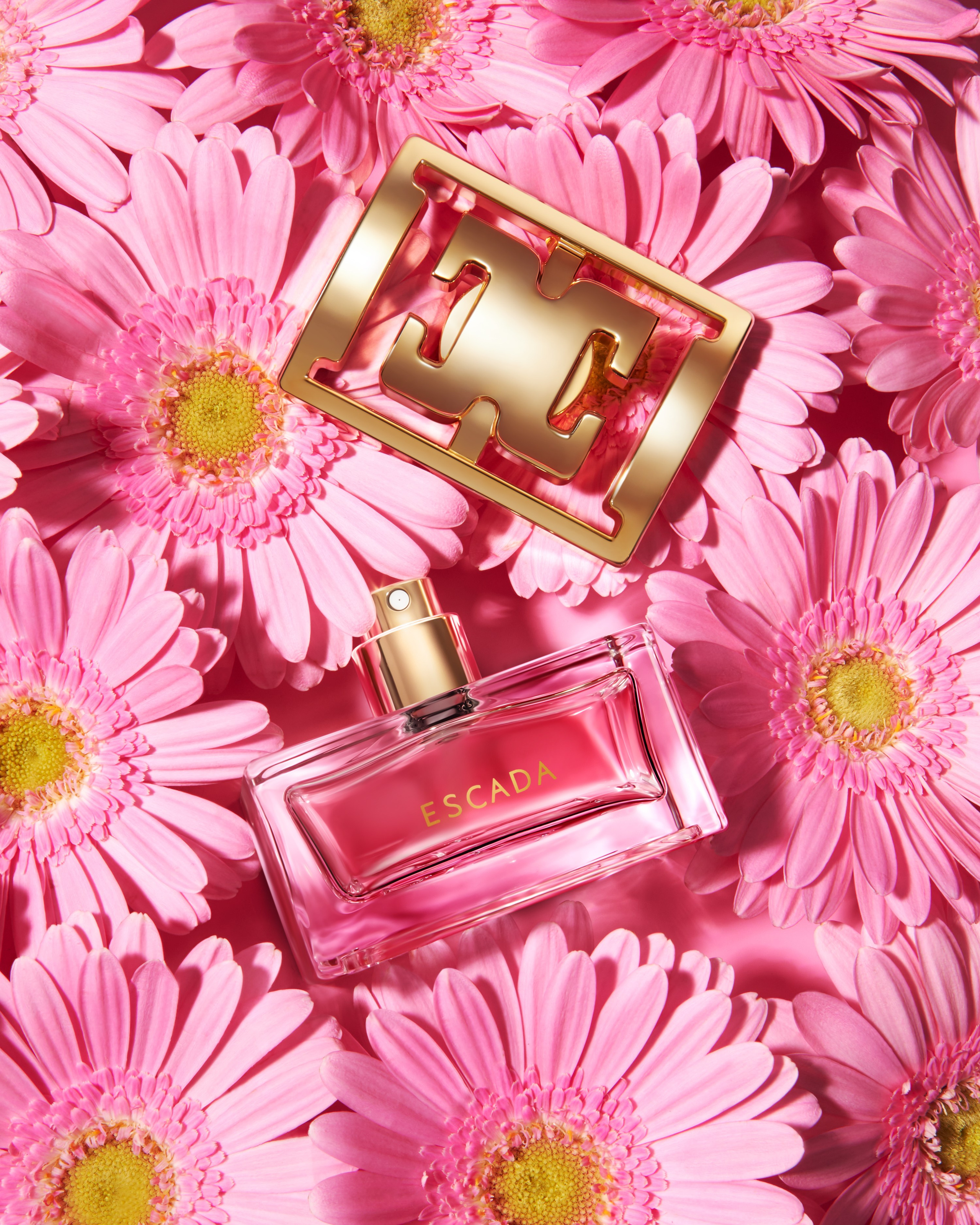 Professionelle Produktfotografie für Onlinehändler, Amazon Seller & E-Commerce. Daria Medved e-commerce Produktfotografin, Amazonfotografin in Hamburg