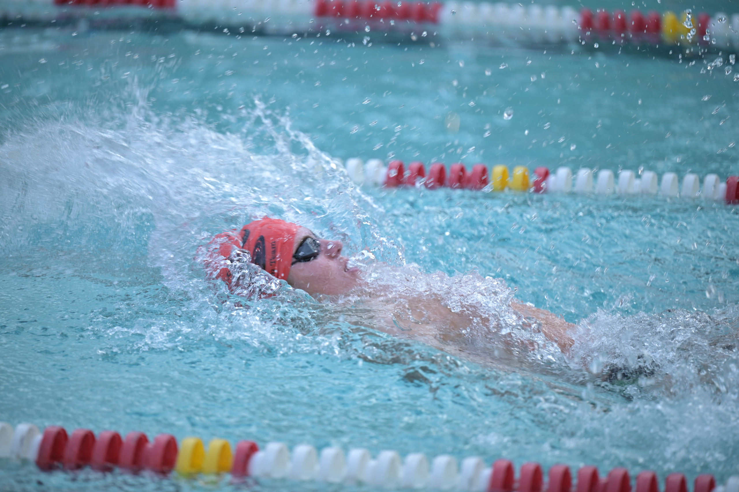 Action Photography. Family and Sports photographer in Cary Raleigh NC North Carolina