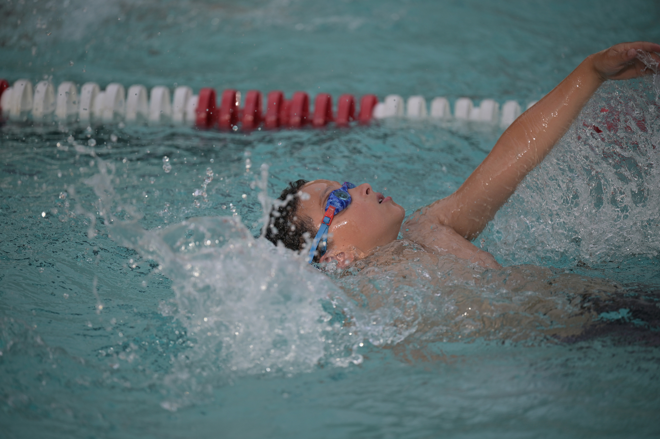 Action Photography. Family and Sports photographer in Cary Raleigh NC North Carolina