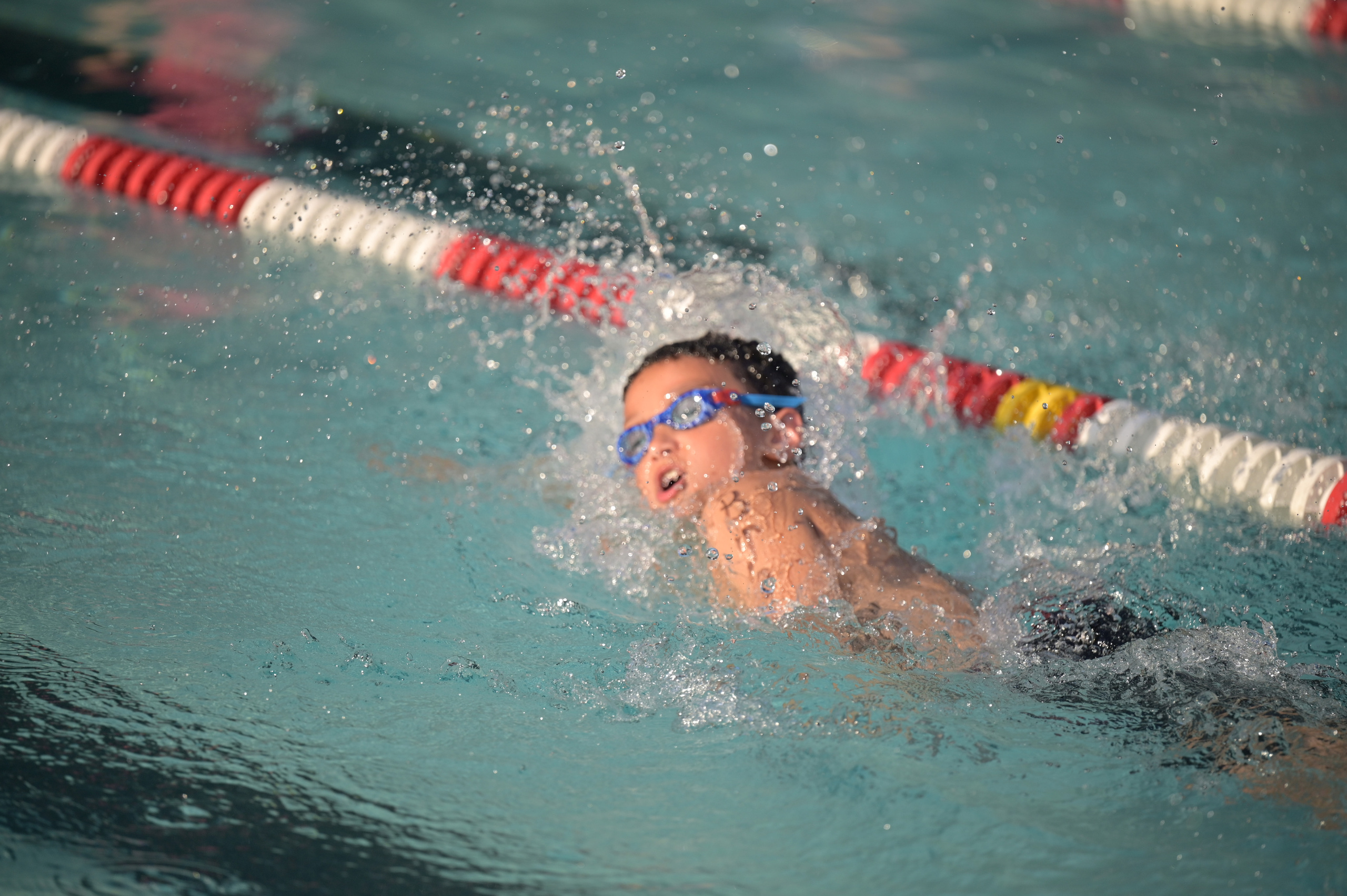 Action Photography. Family and Sports photographer in Cary Raleigh NC North Carolina