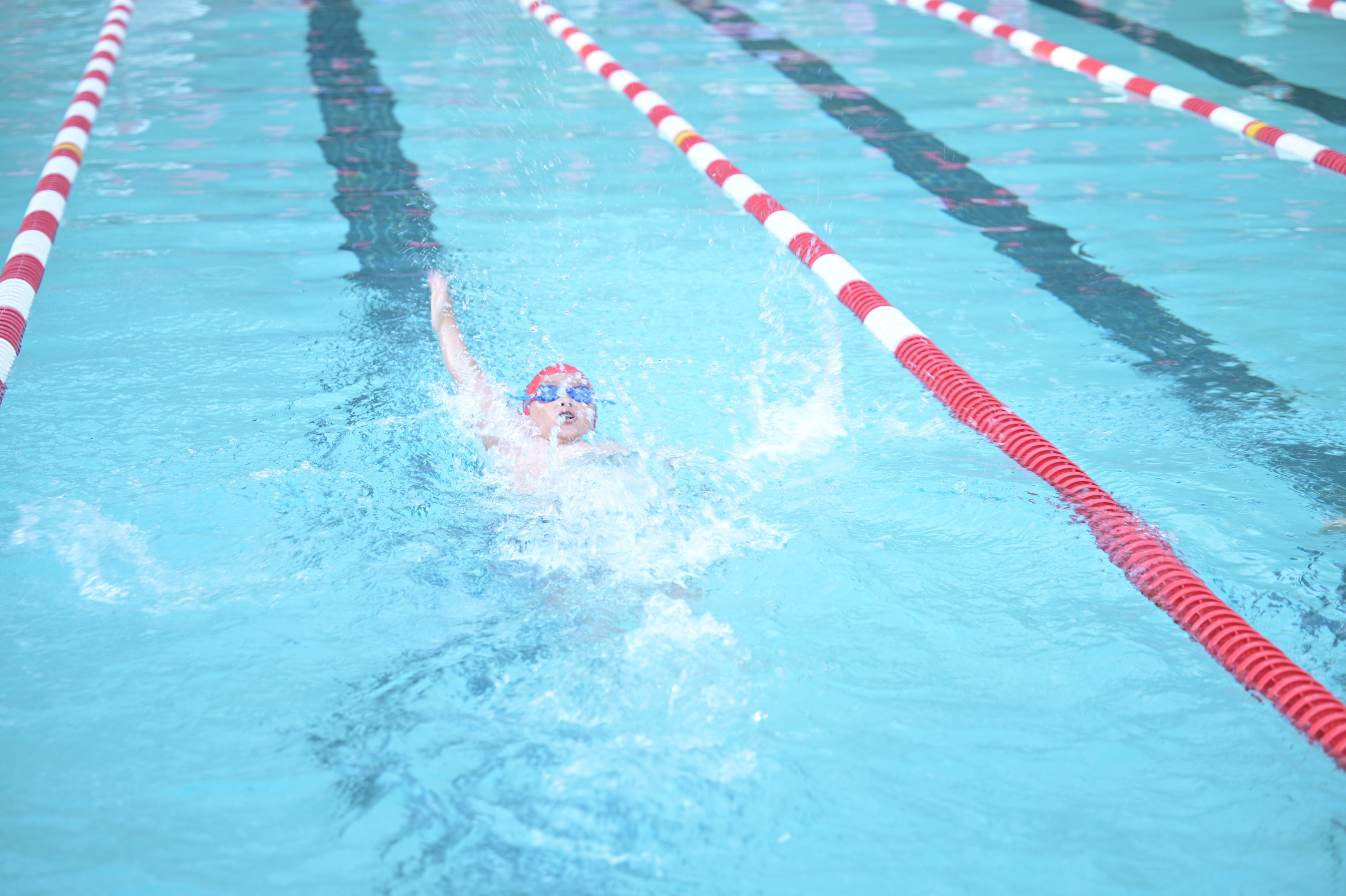 Action Photography. Family and Sports photographer in Cary Raleigh NC North Carolina