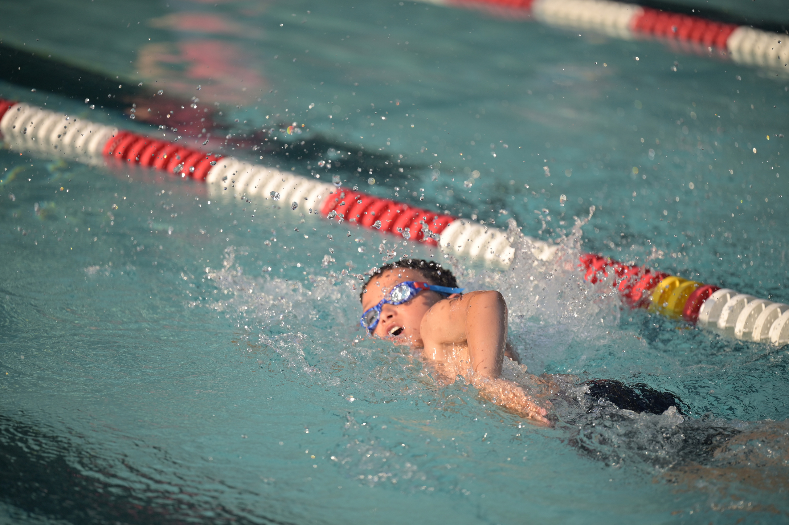 Action Photography. Family and Sports photographer in Cary Raleigh NC North Carolina