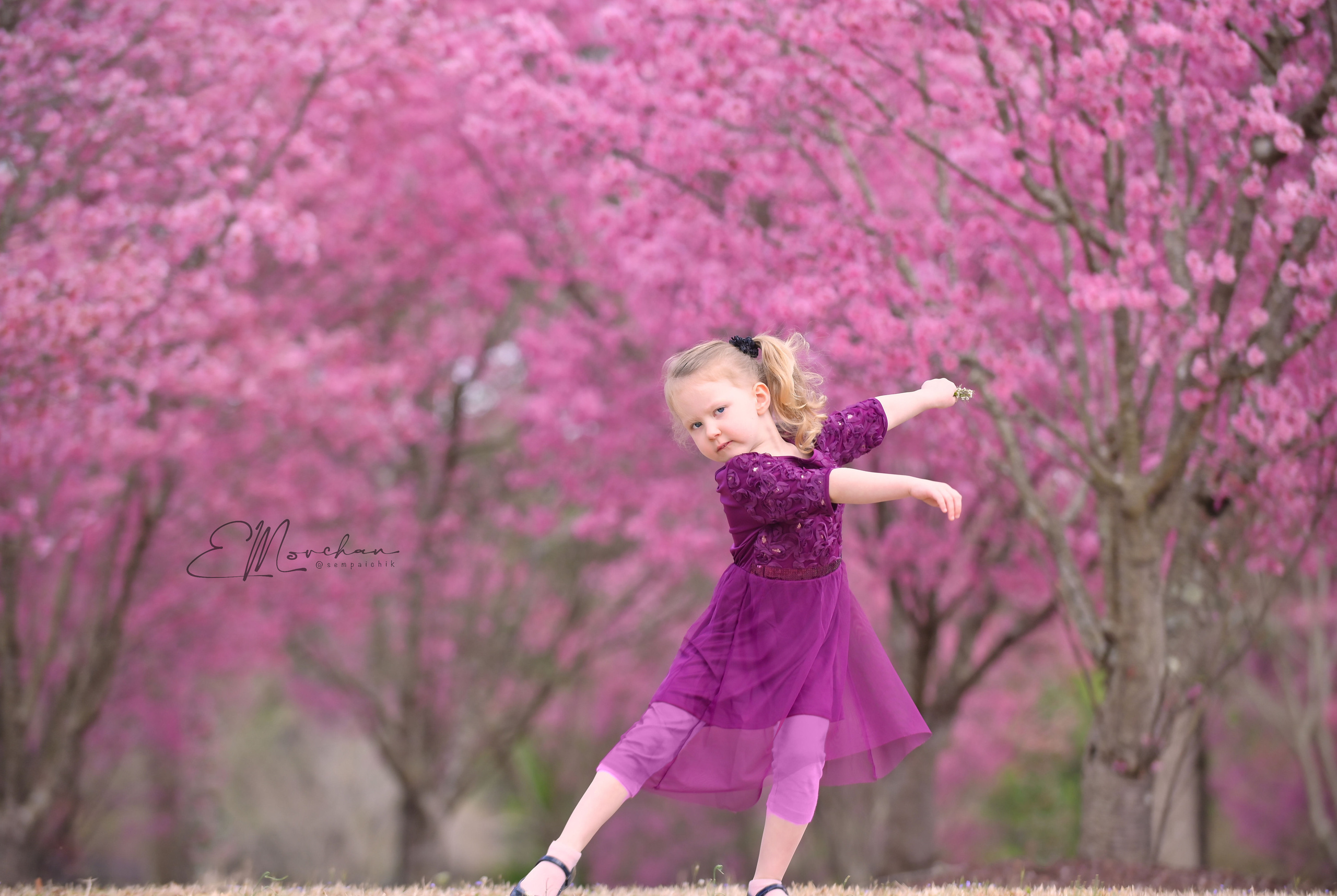 Family and Sports photographer in Cary Raleigh NC North Carolina