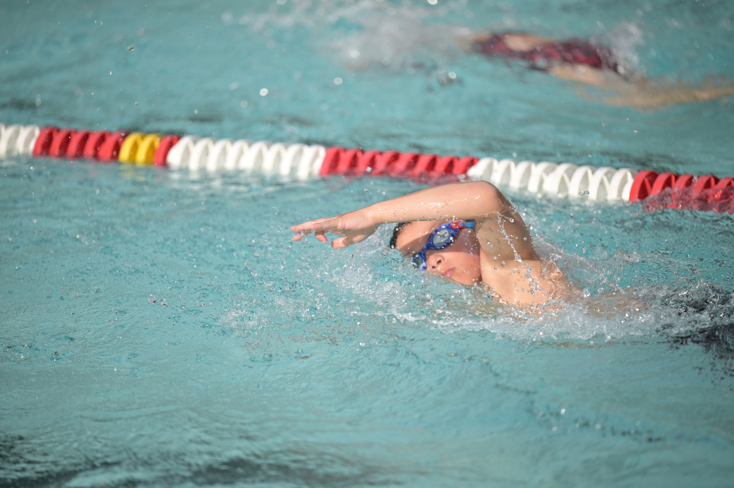 Action Photography. Family and Sports photographer in Cary Raleigh NC North Carolina