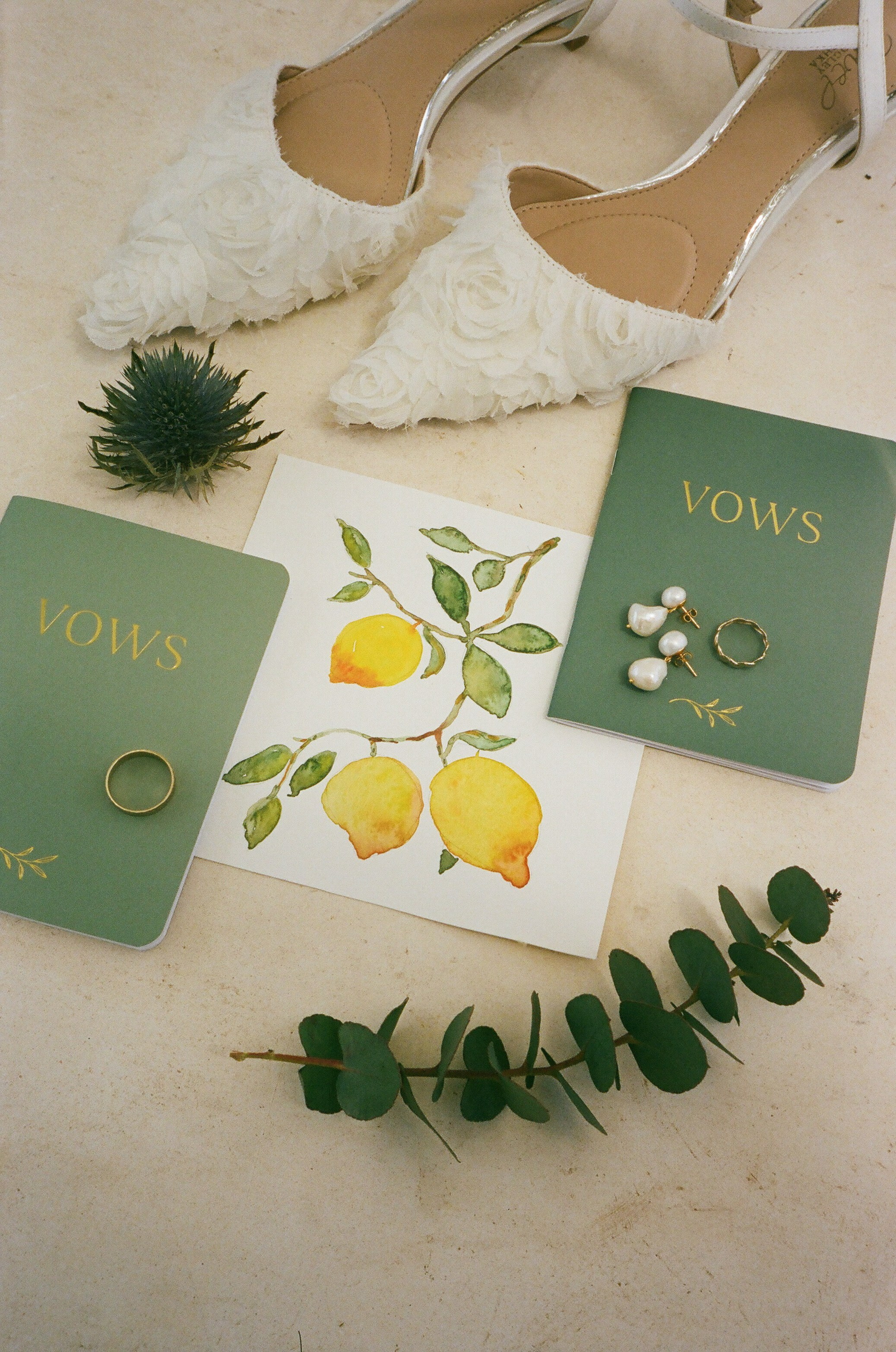 Stephanie & Christian film photos. Весільний фотограф Вікторія Саврук