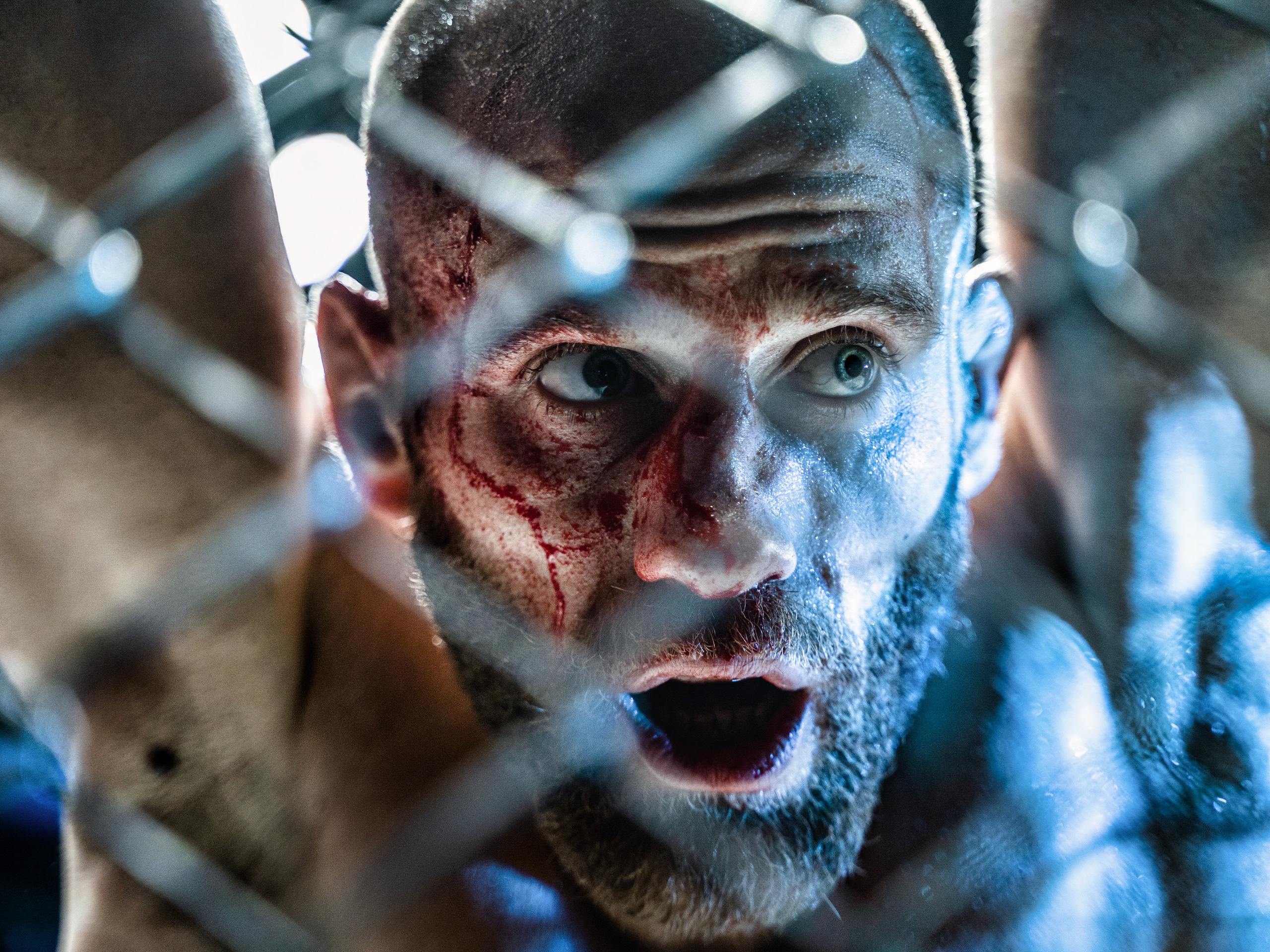 Sport. Wedding photography