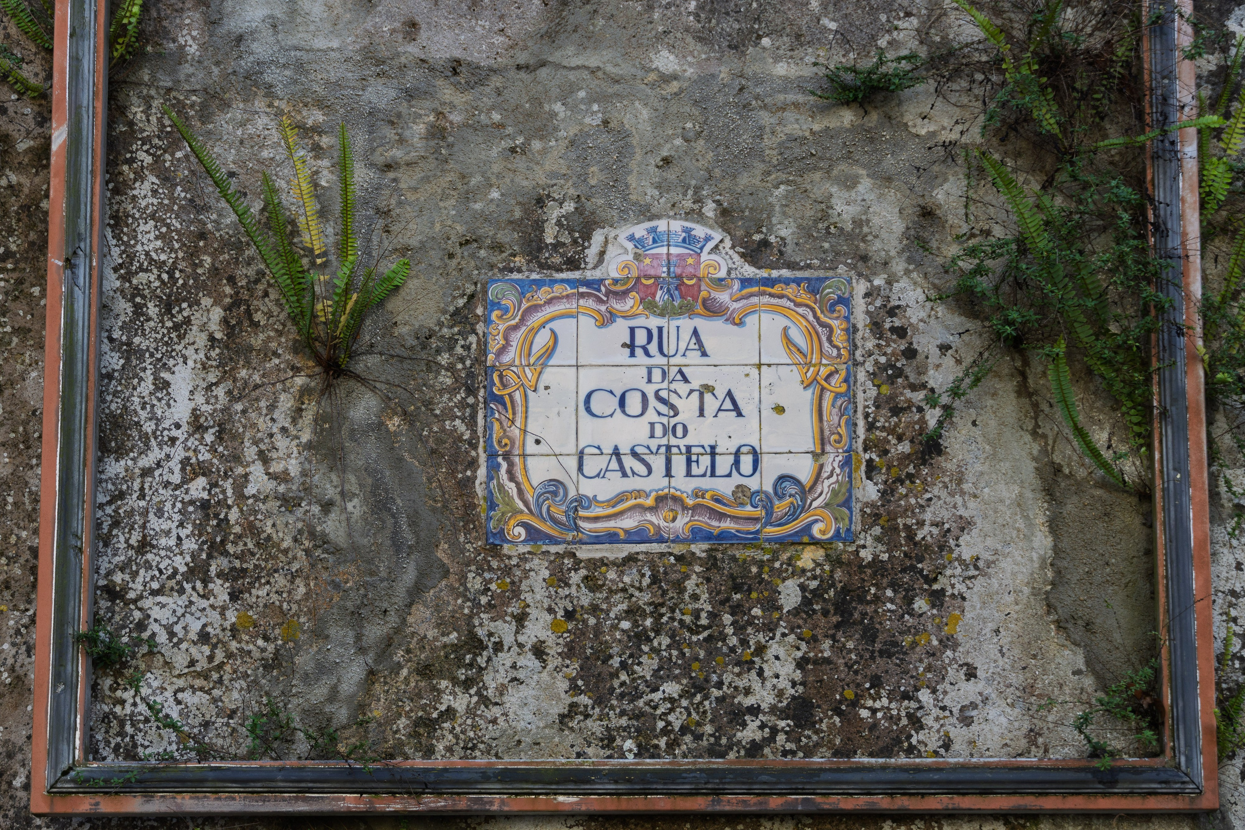 Lisabona 2025. Fotografiideplacere.net