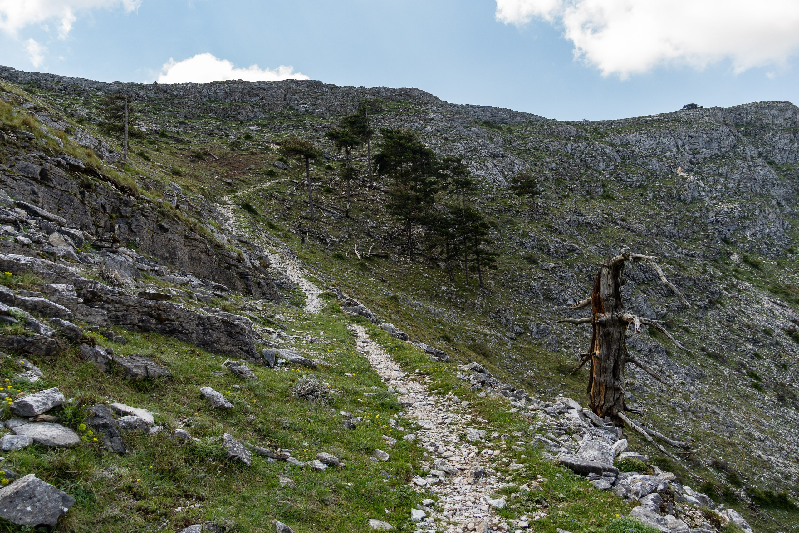 Thasos 2025. Fotografiideplacere.net