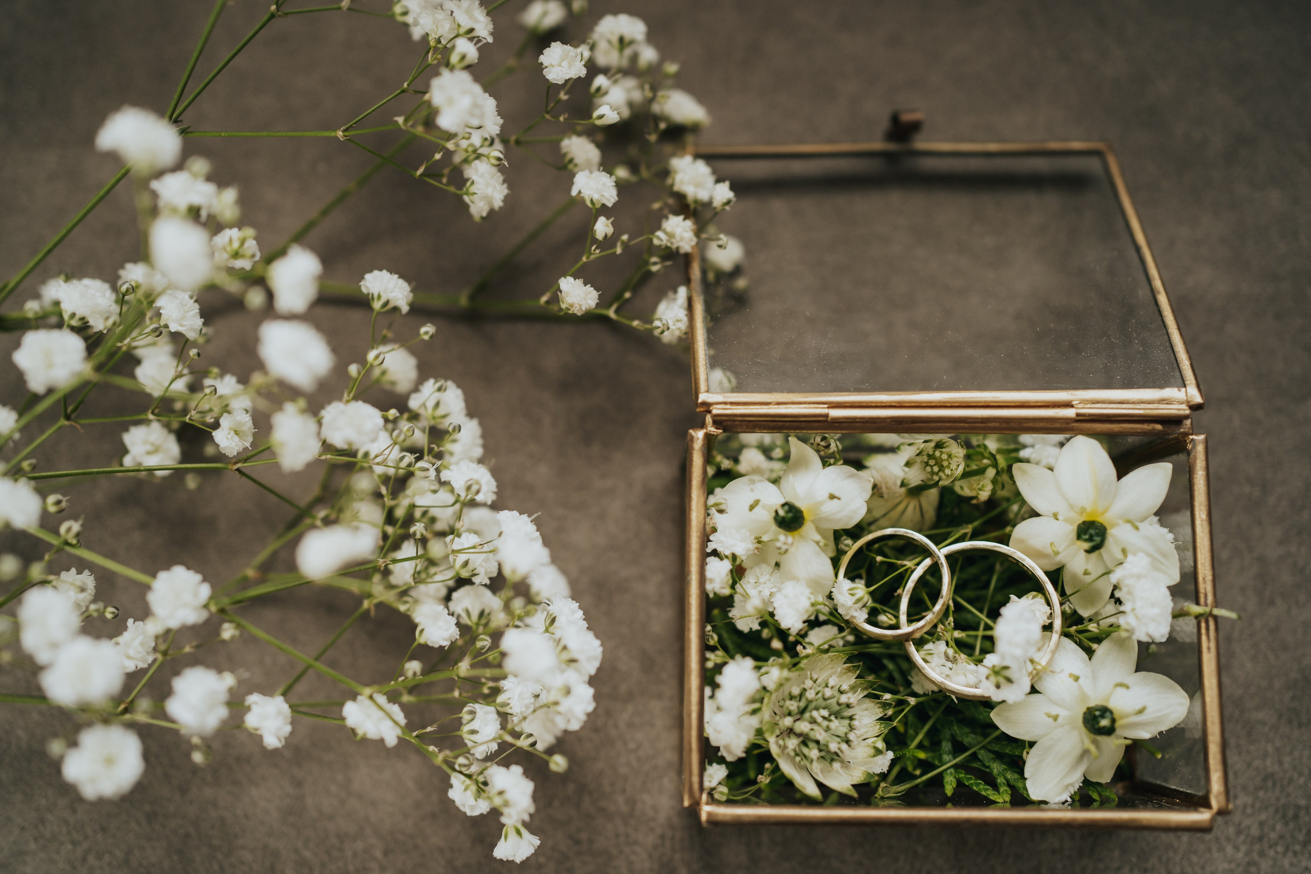 T & I. Fotograf Nunta Iasi - Hearts & Pictures