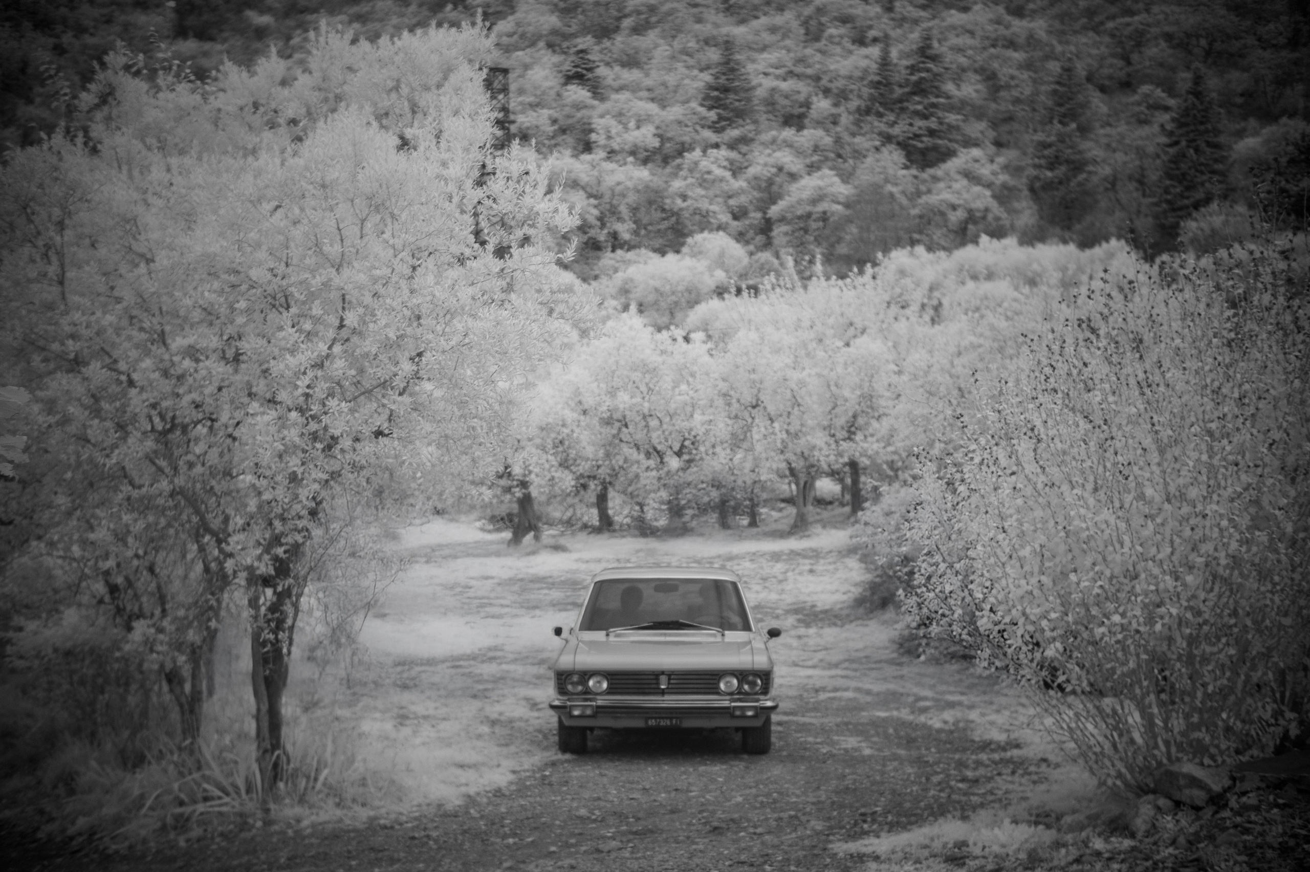 Infrarossi. Fotografia e video