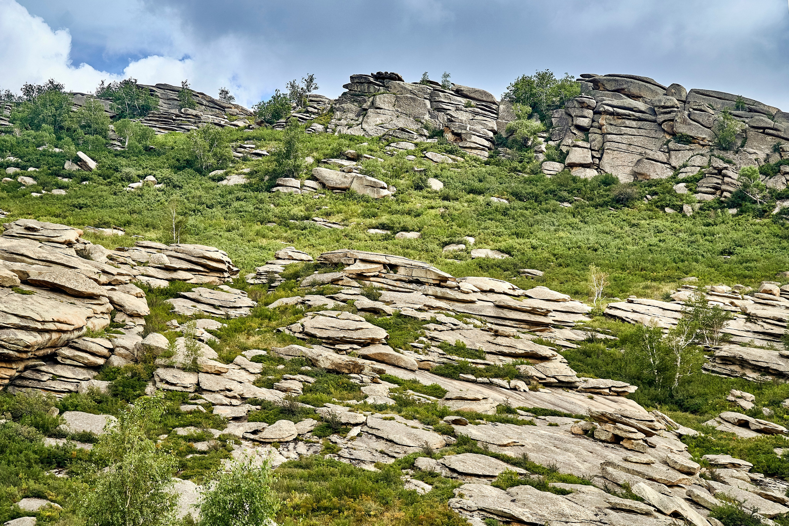 Сибины. Андрей Шипилов — Фотография & Видеография