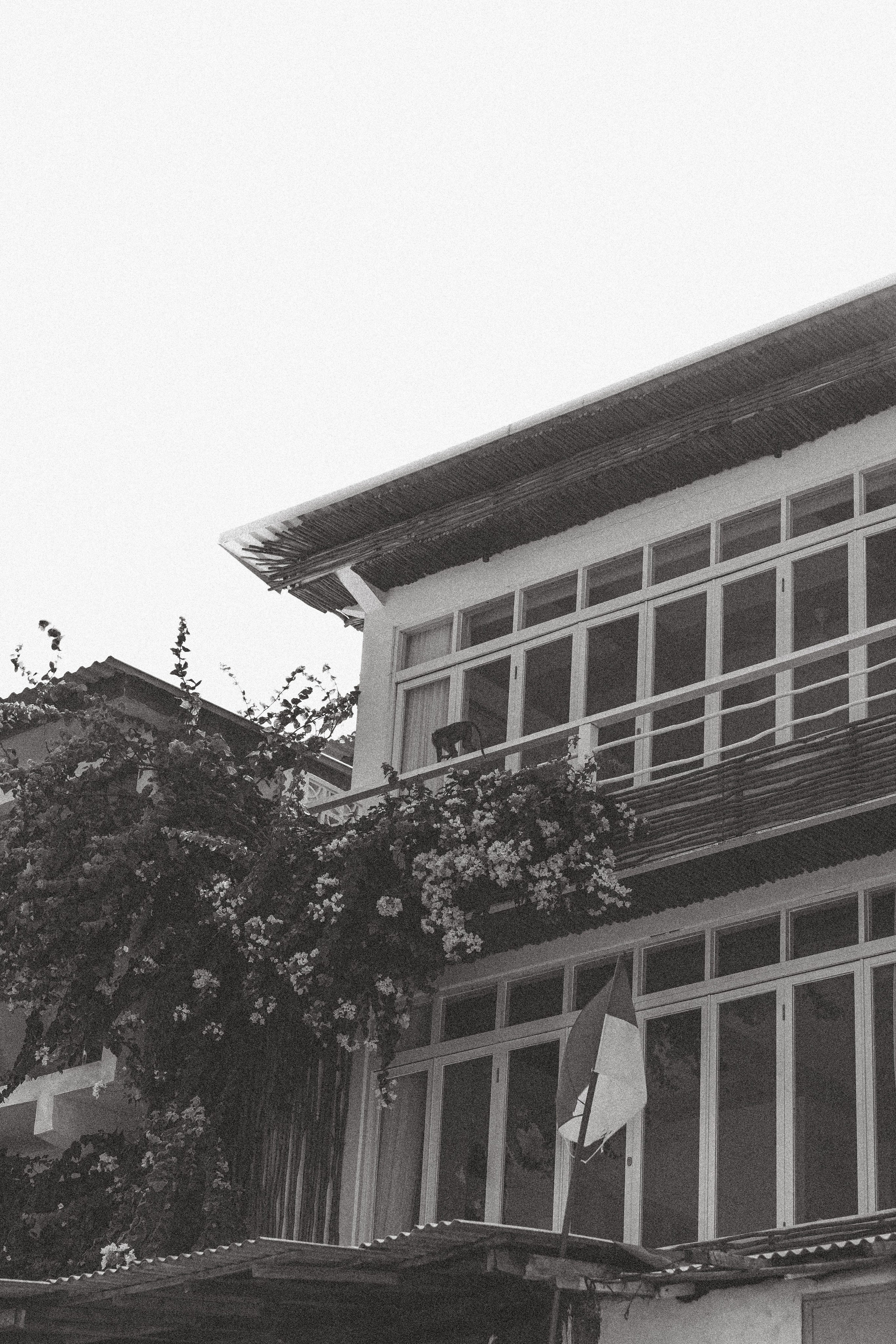 Portrait, lookbook and family photographer in Riga, LATVIA