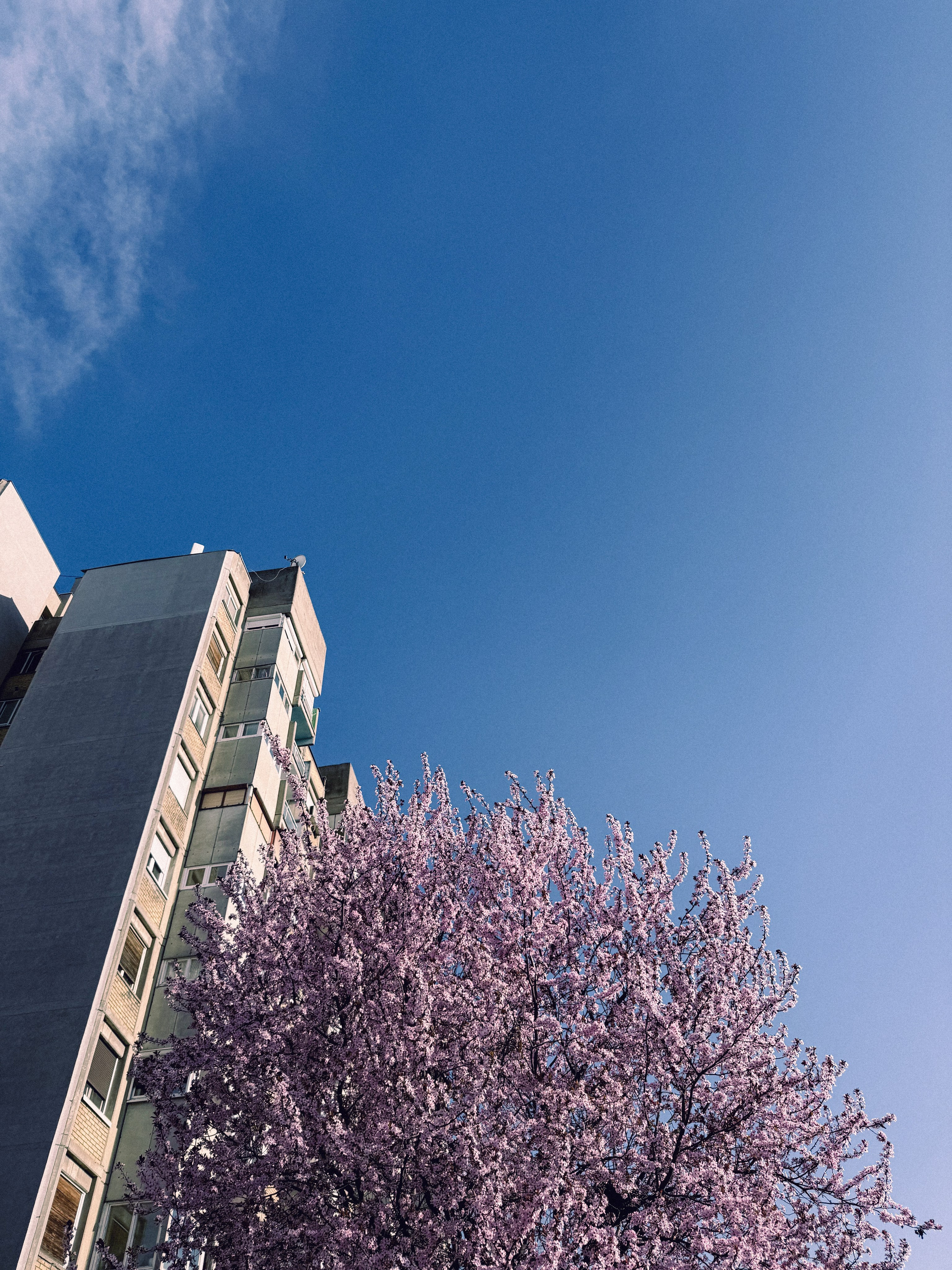 Мобильная съемка. Анастасия Еремина | Фотограф в Сербии | Персональные и бизнес-фотосессии в Белграде и Нови Саде