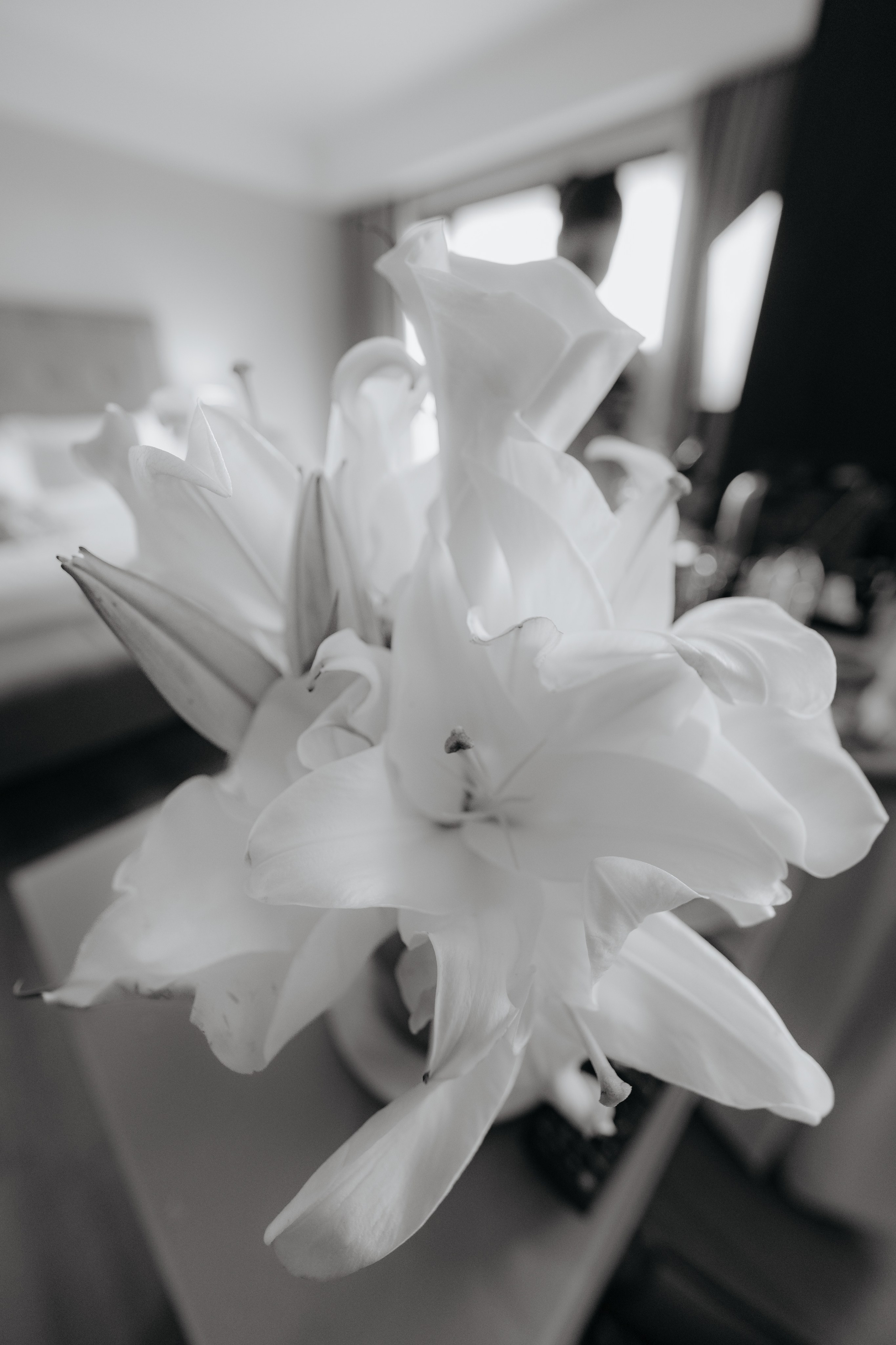 Jessica e Anna Luiza (matrimonio). Principal