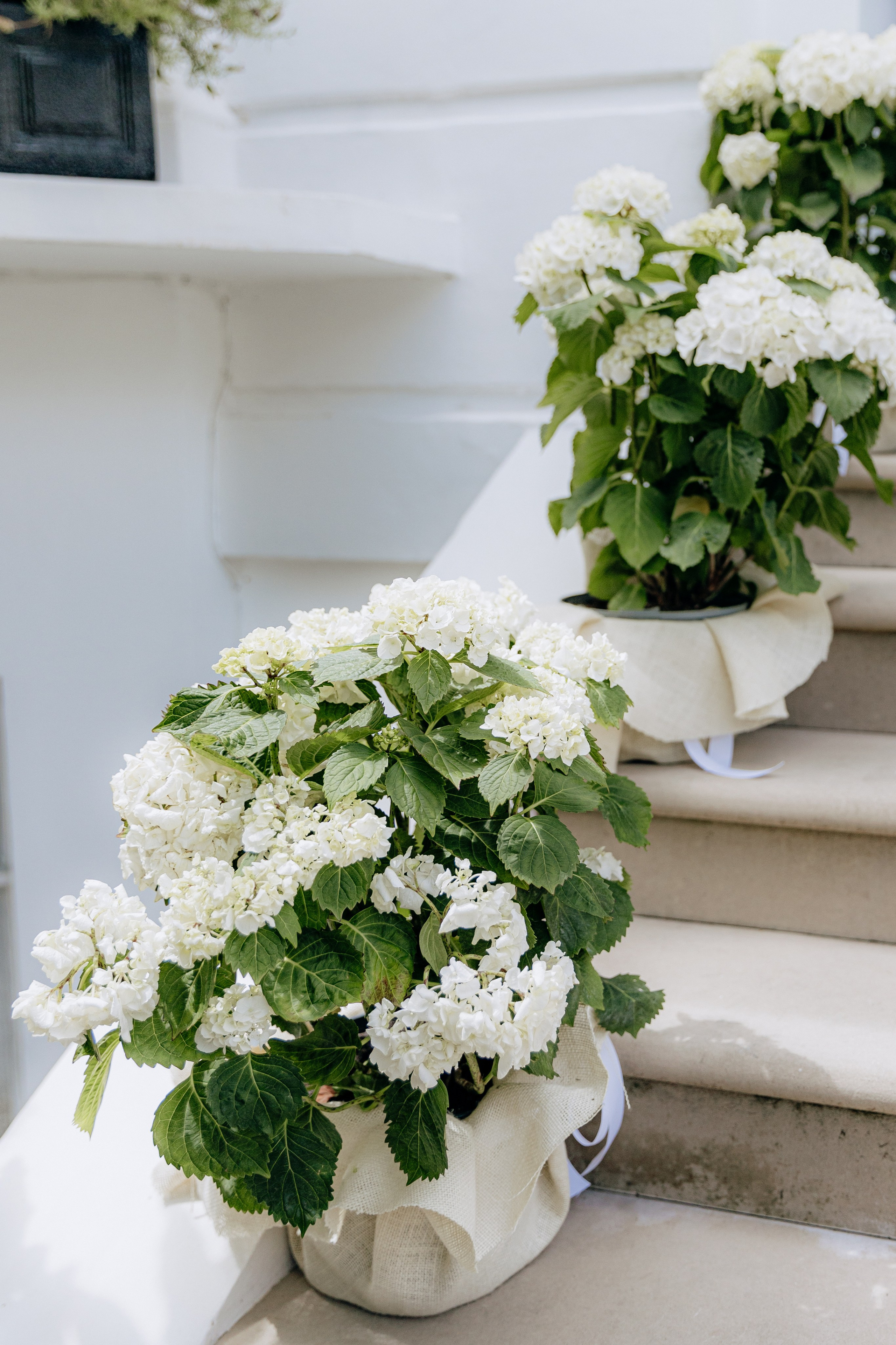 Elegant Wedding Photo Gallery. Timeless Wedding & Event Photography from London to the world