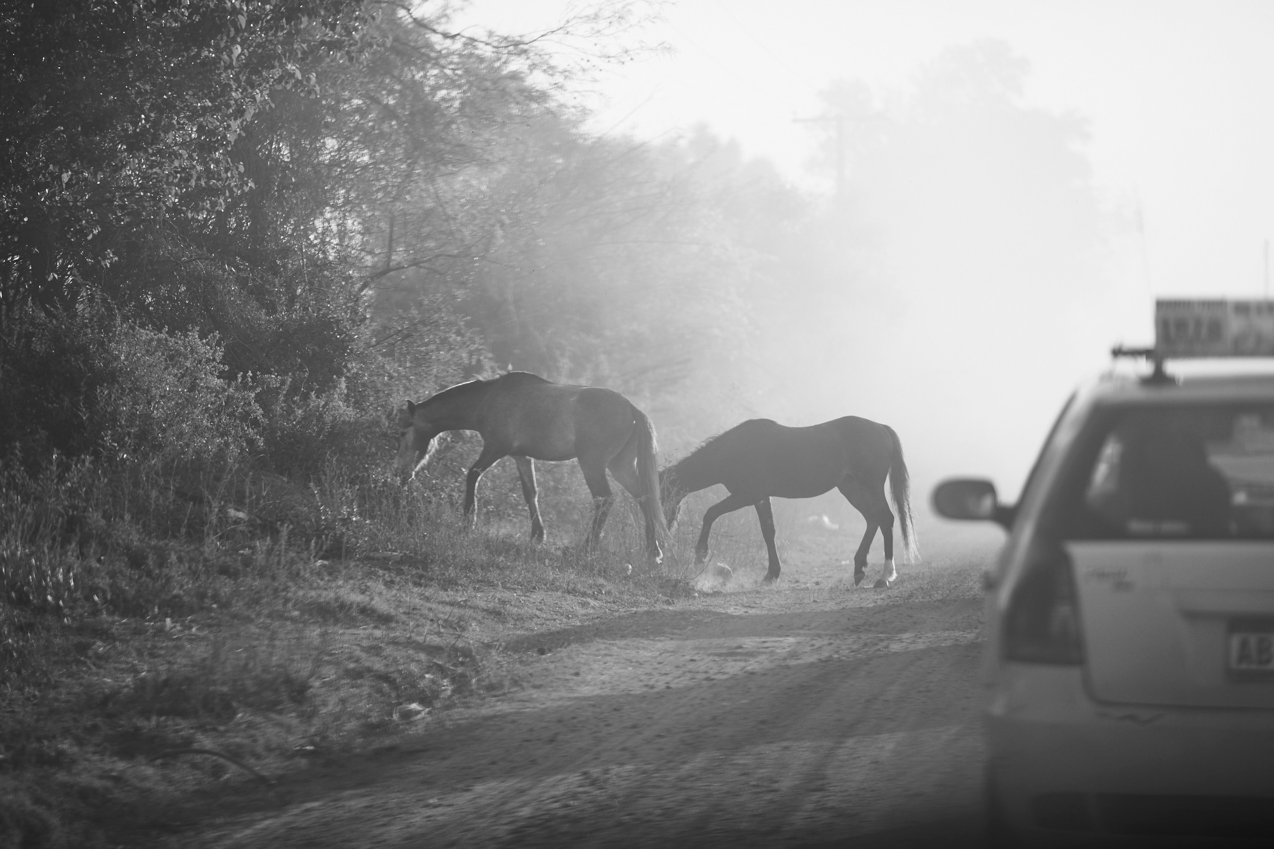 Salena & Luciano. Marcos Ferrari Fotógrafo