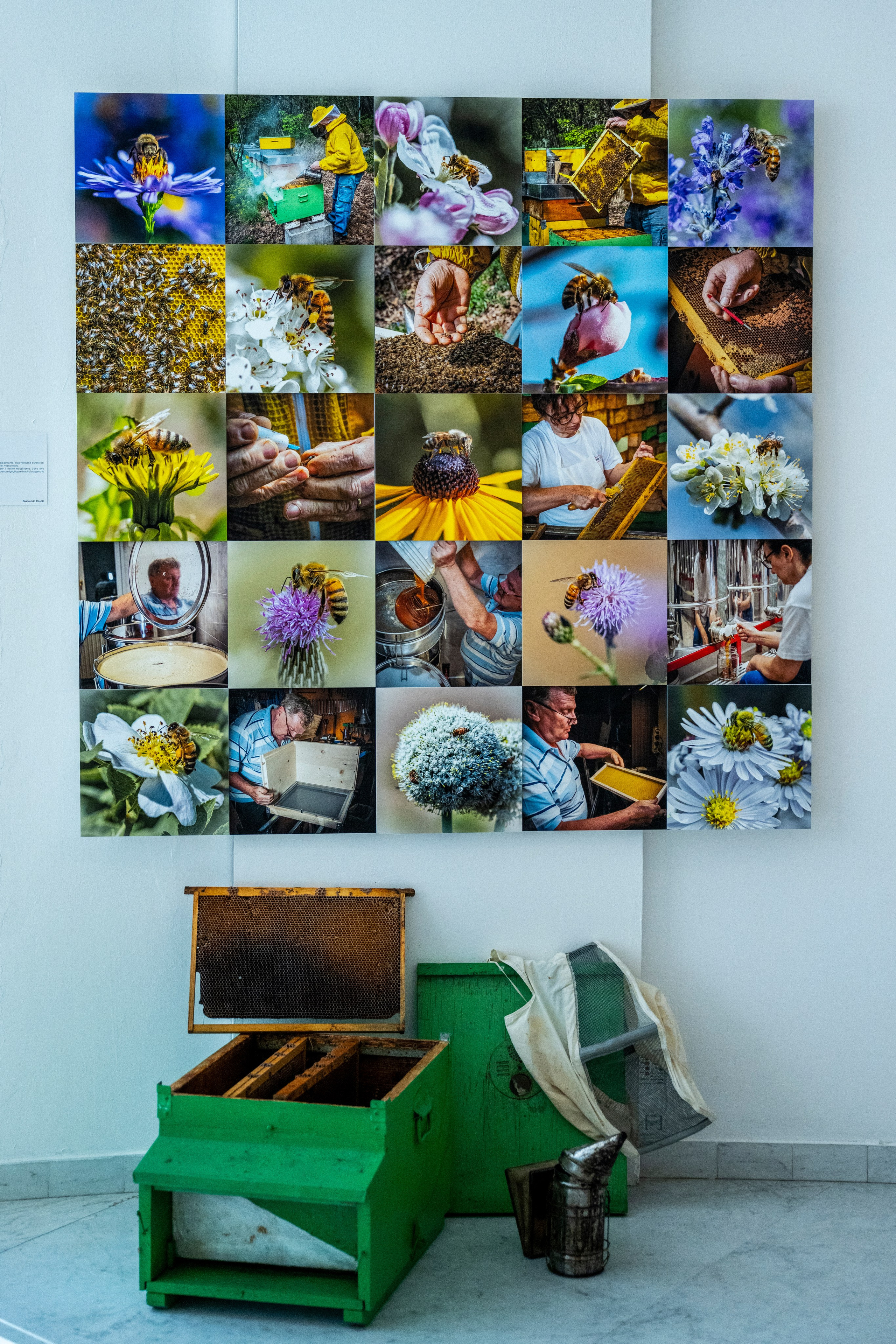 Mostra Gruppo Fotografico Albese 24. “Gianmaria Coscia fotografo per passione”