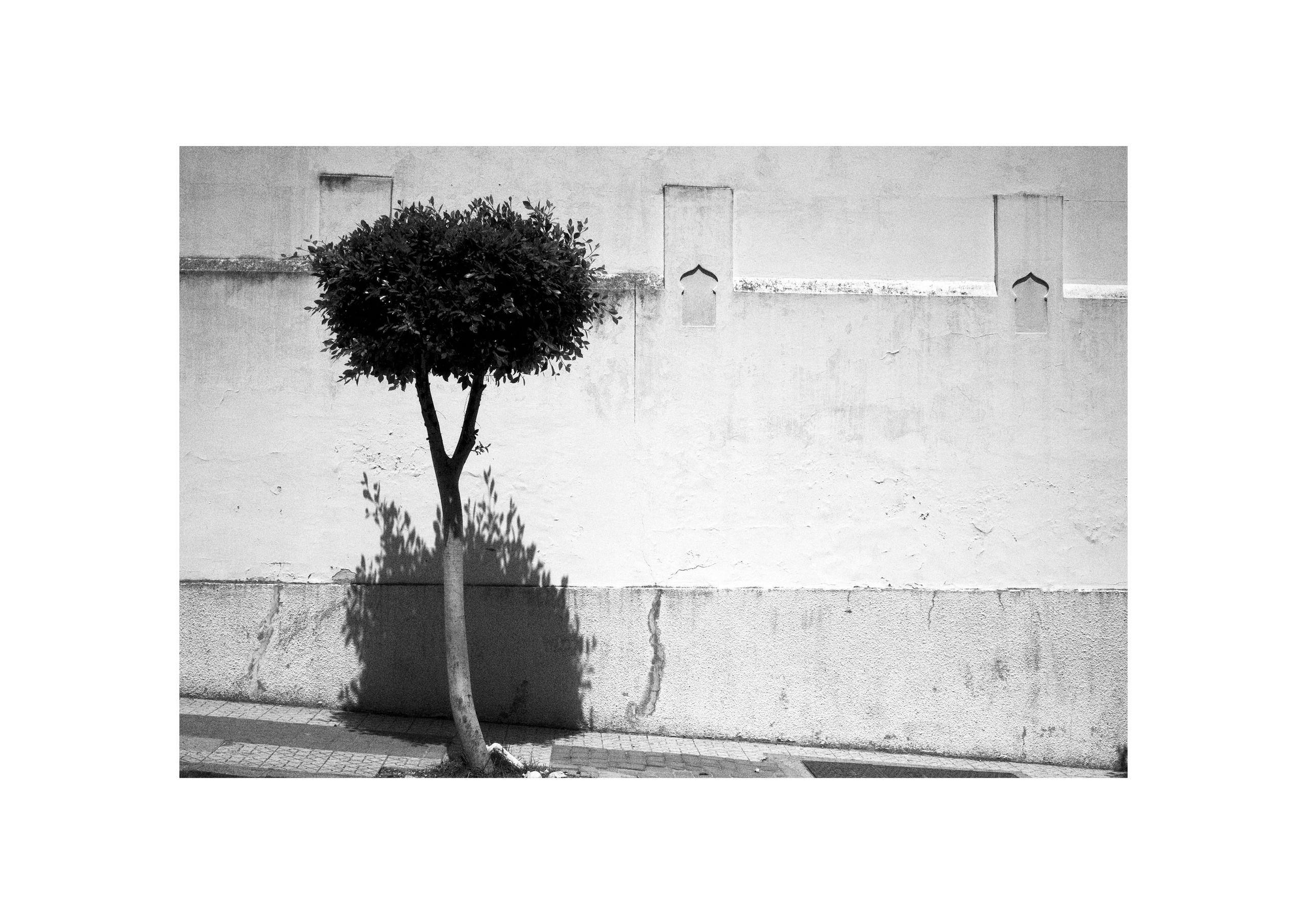 B&W. Cinema that you’ll never see