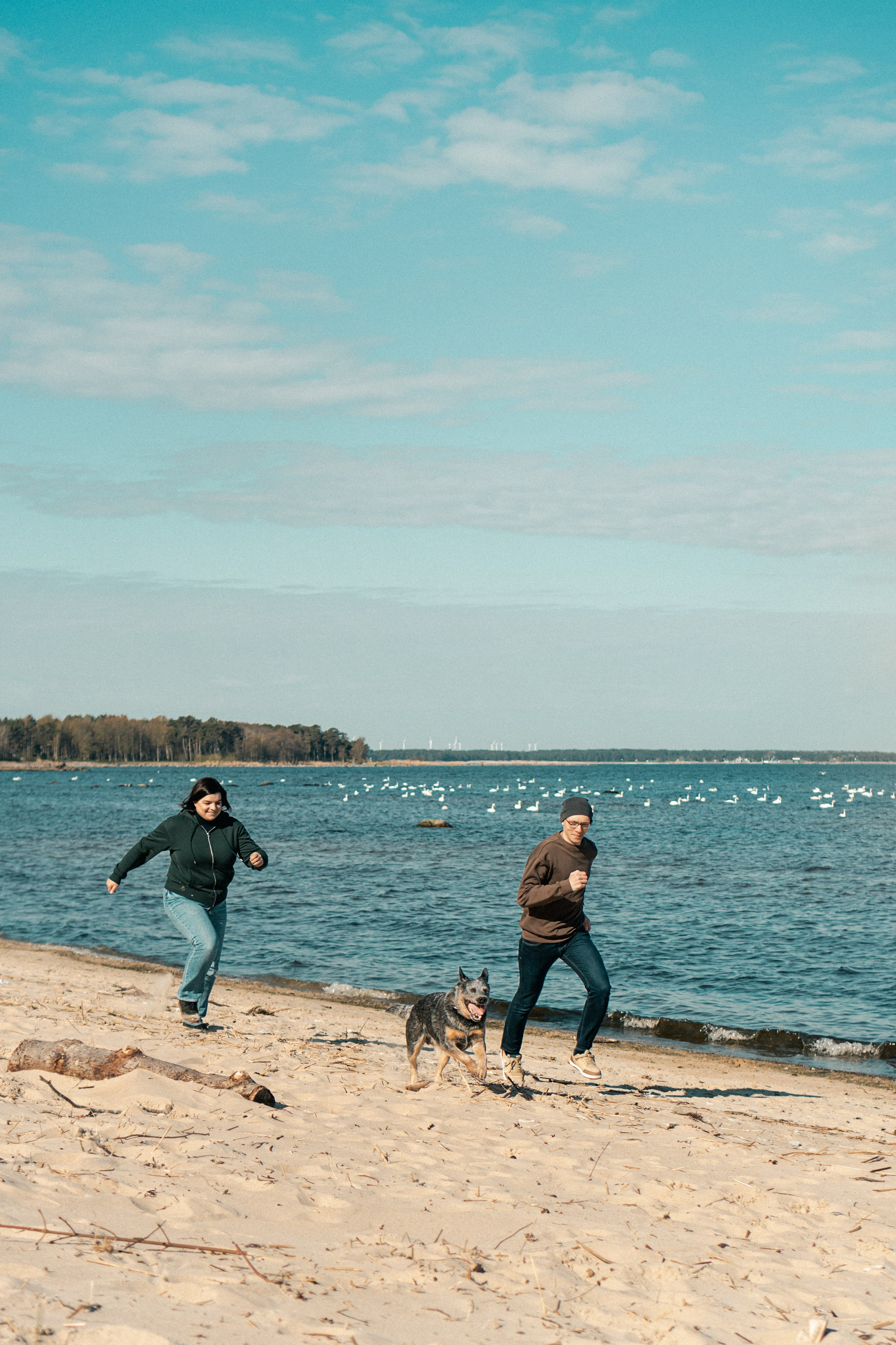 Oskar, Maria & Dmitrii. Kat Laisaar — Pet photographer in Tallinn