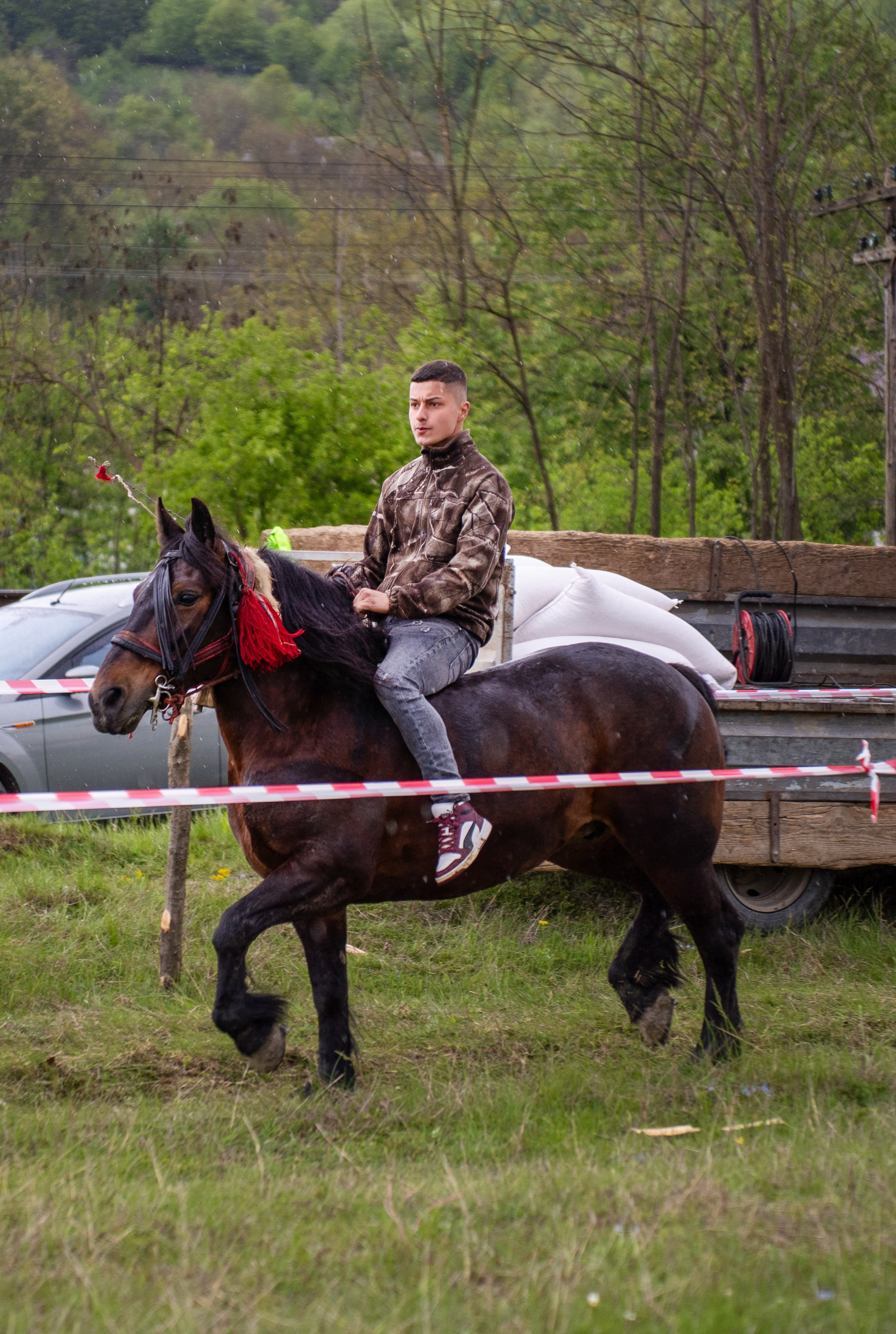 Concurs Ecvestru Vărbilău ediția a 4-a. Mihai Alexandra Events