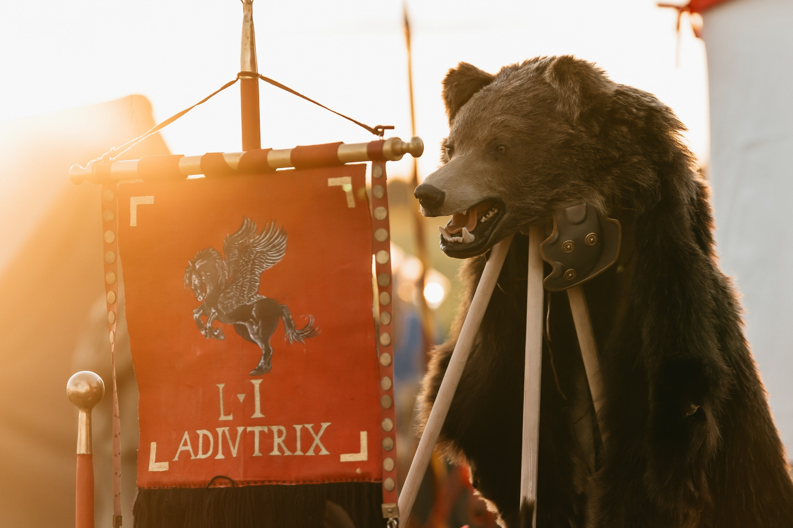 Festivalul GETODAVA - Iasi