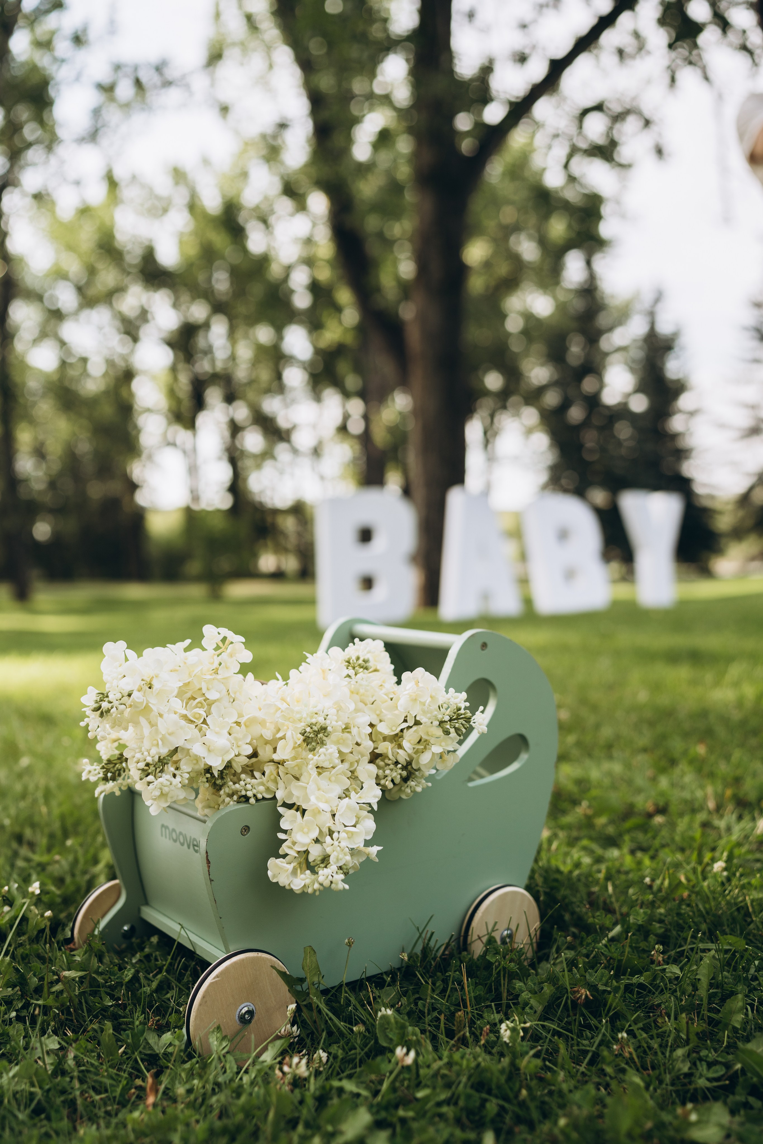 Gender reveal. Calgary Wedding & Lifestyle Photographer — Yevhen Polishchuk