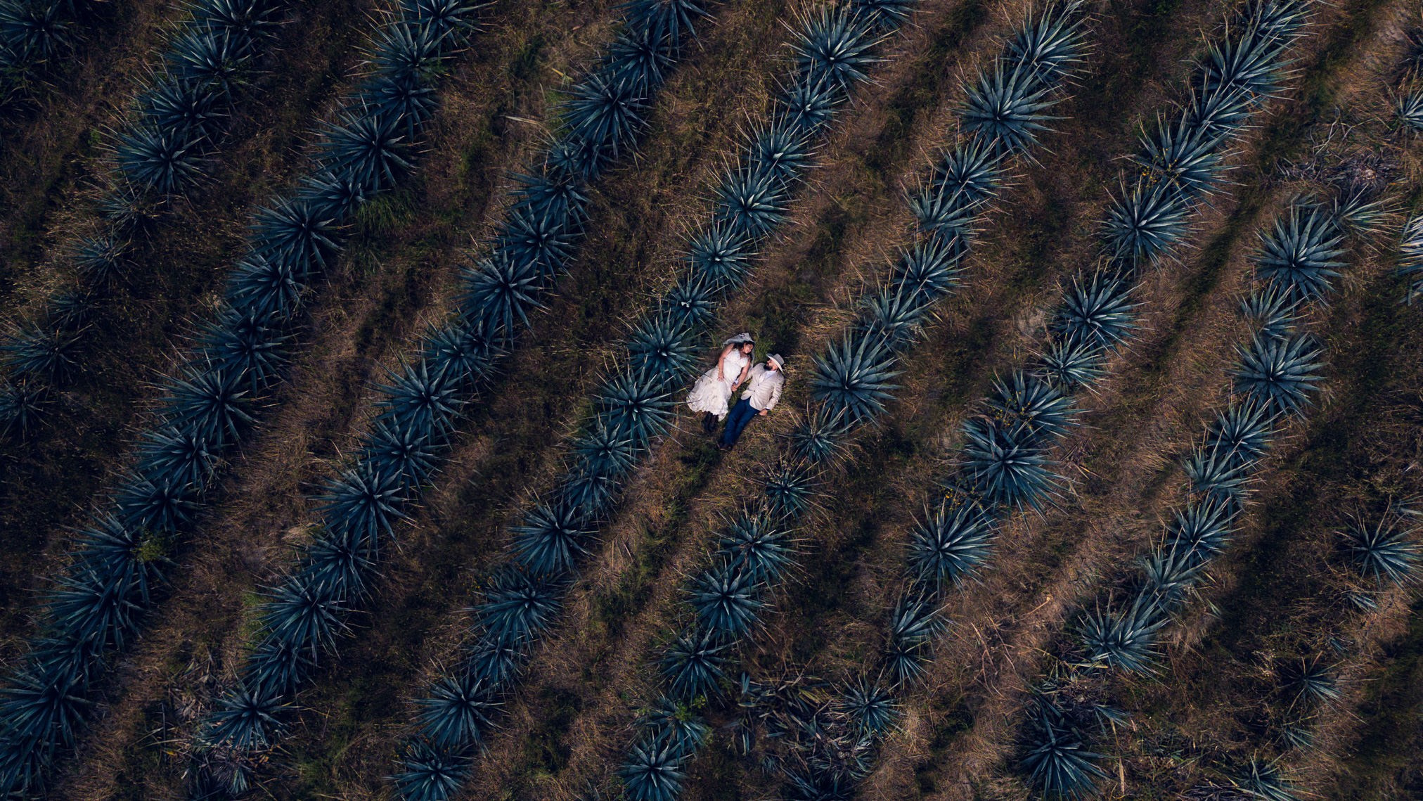 Aguascalientes / Jalisco Trash The Dress Viviana y Jesse. Estudio de fotografia en Tijuana