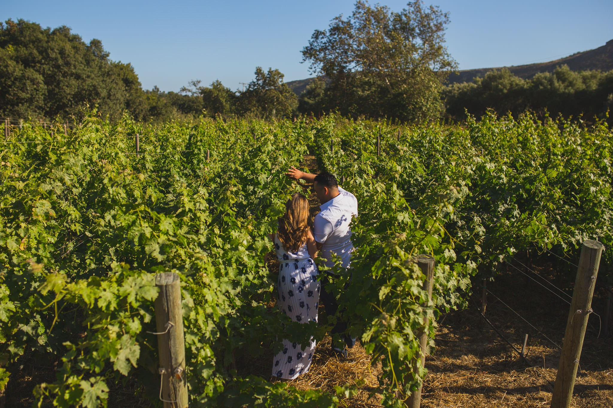 Cuatro Cuatros, Lucerna, Espiritu Sto y La Pérgola Boda Samantha Y Hector. Estudio de fotografia en Tijuana