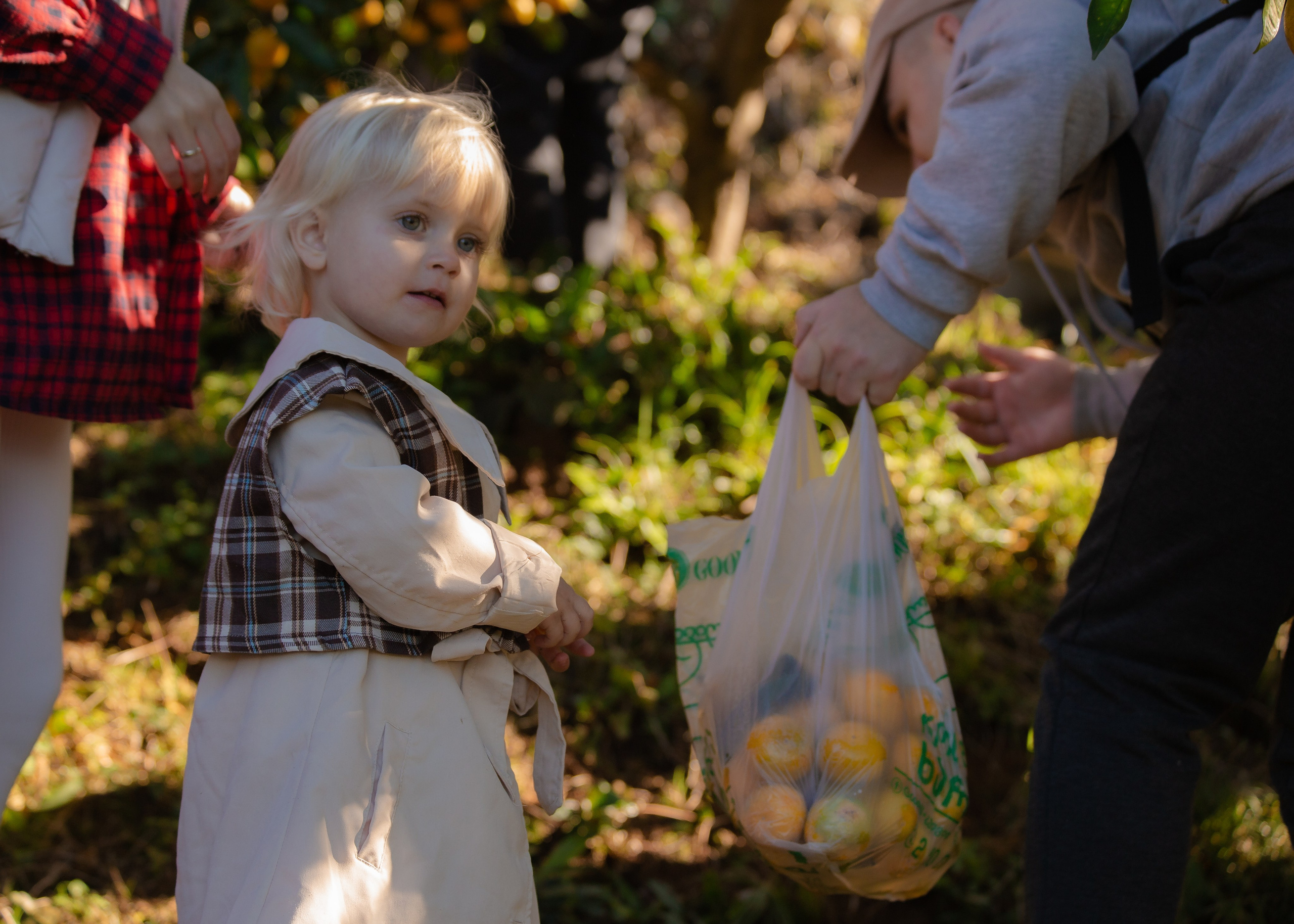 Event. PHOTOSTORYNIKA