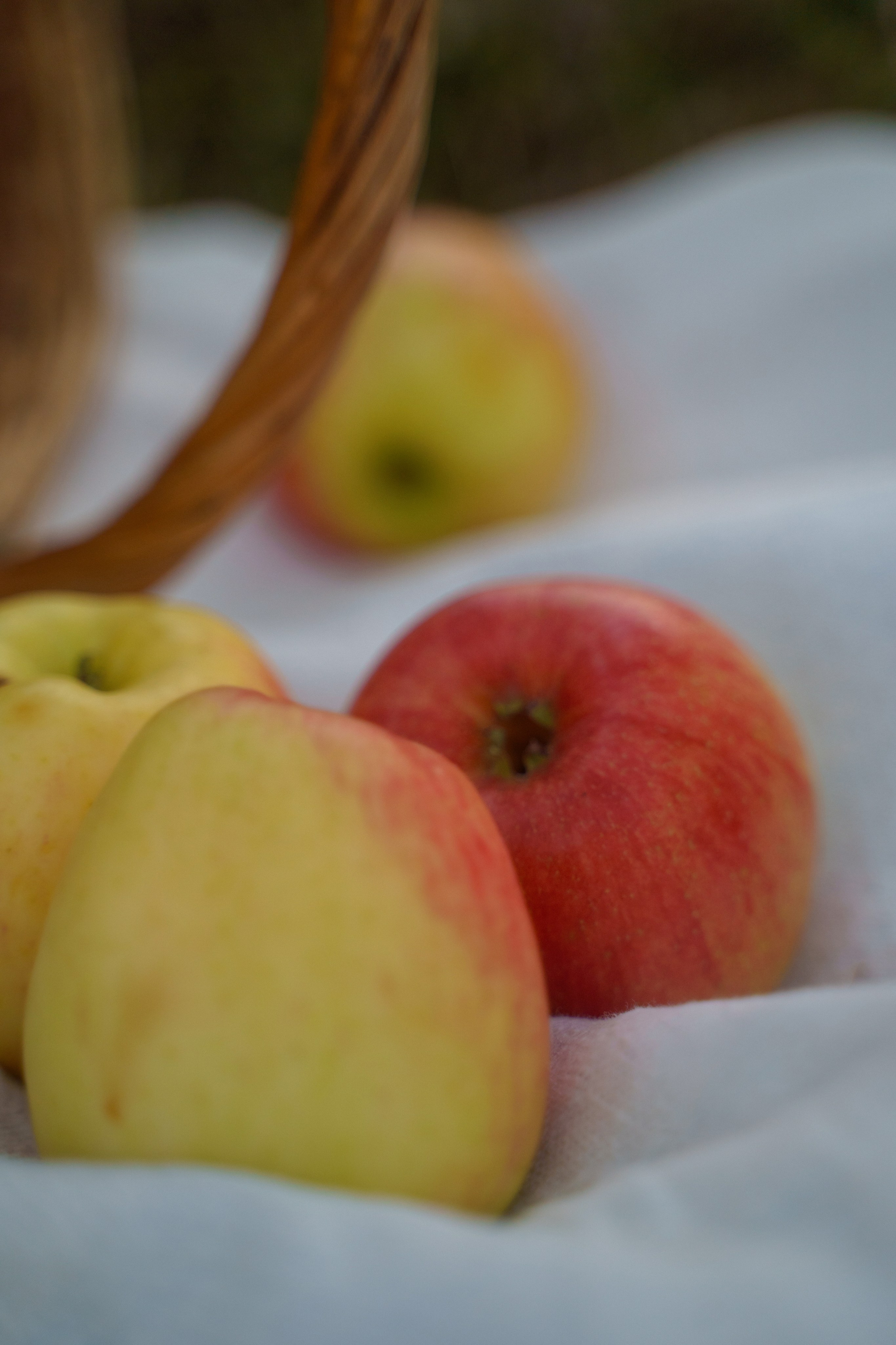 Storm, linen and milk